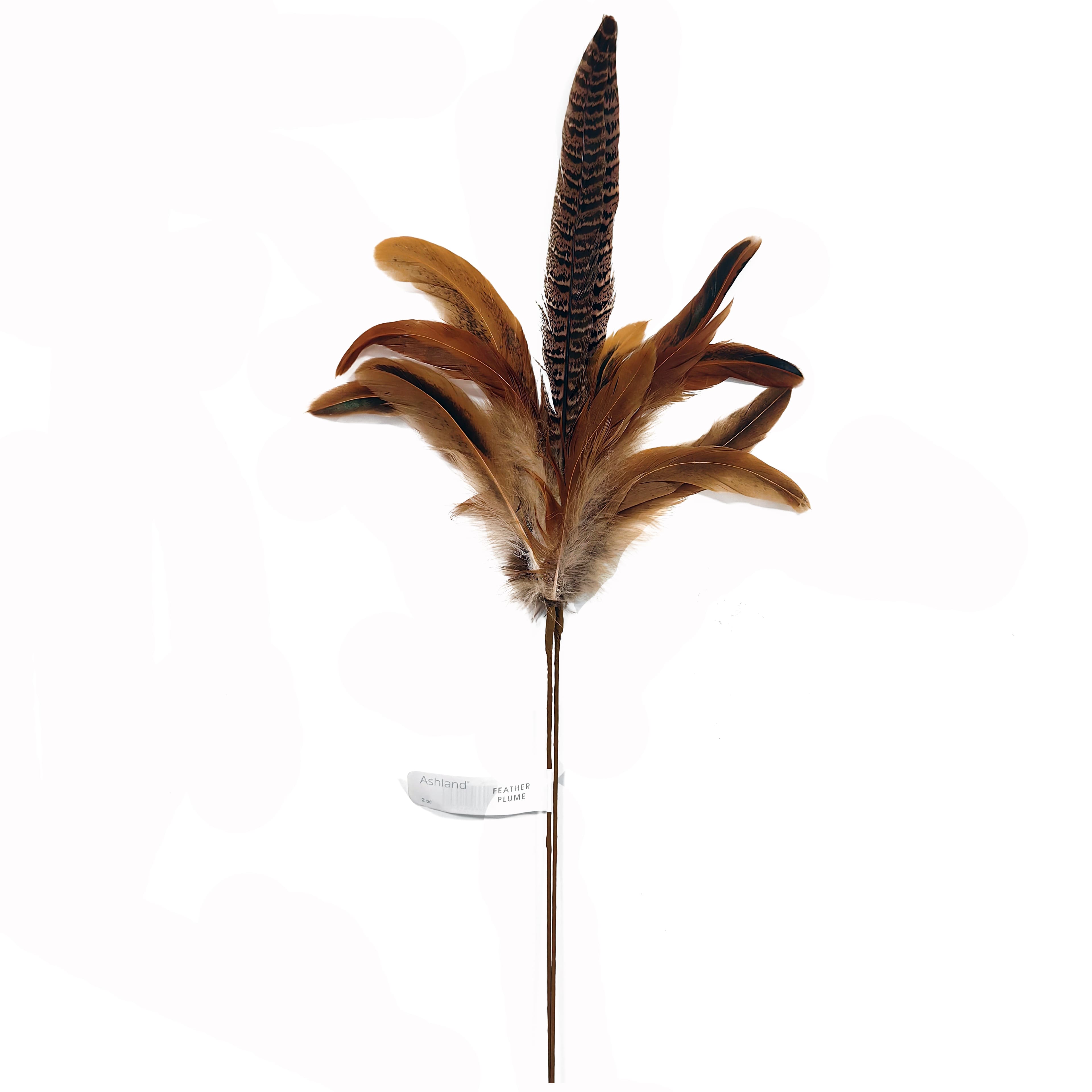 12 Pack: 2ct. (24 total) 23" Feather Picks by Ashland®