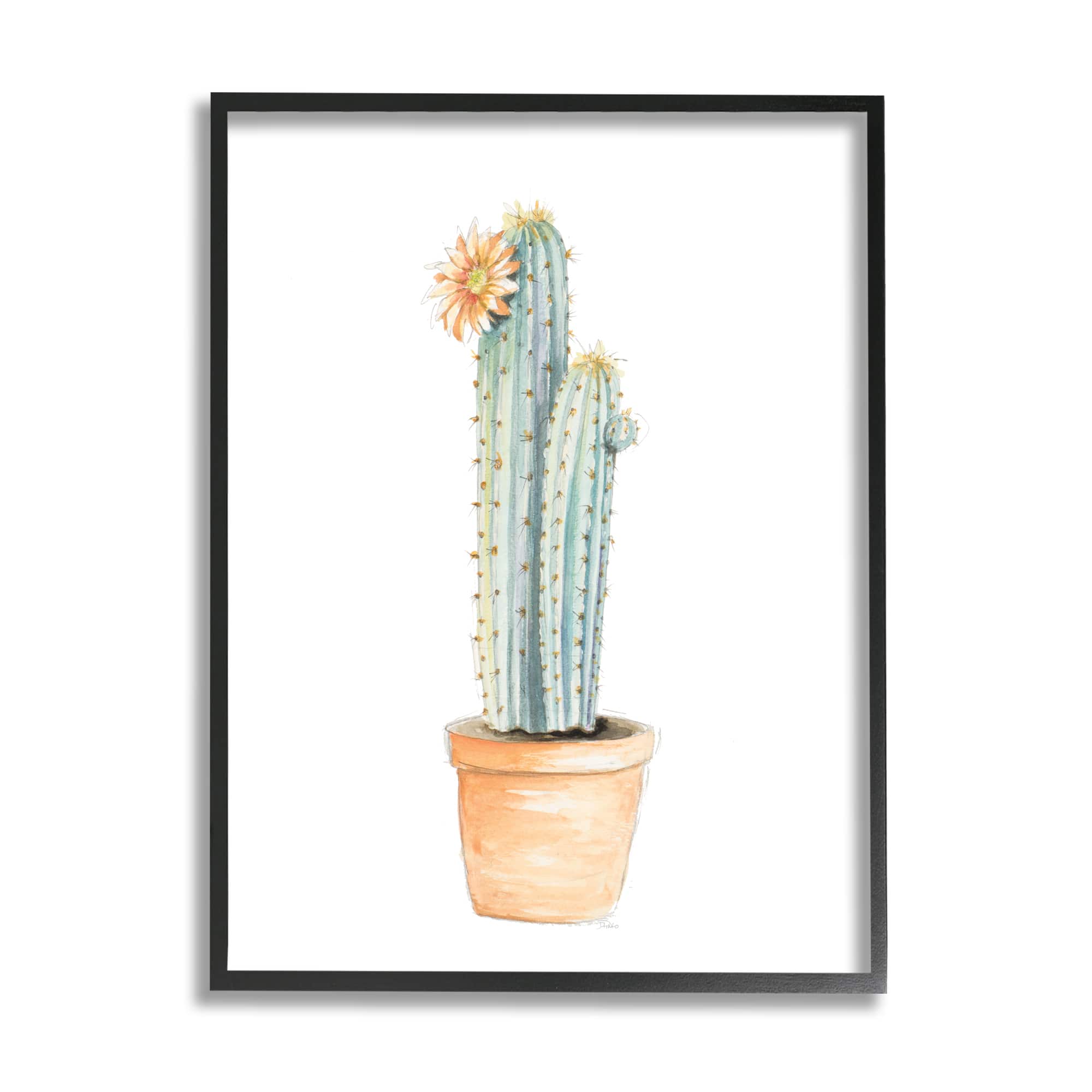 Stupell Industries Flowering Cactus Pop Minimal Southwestern Tones in Black Frame Wall Art