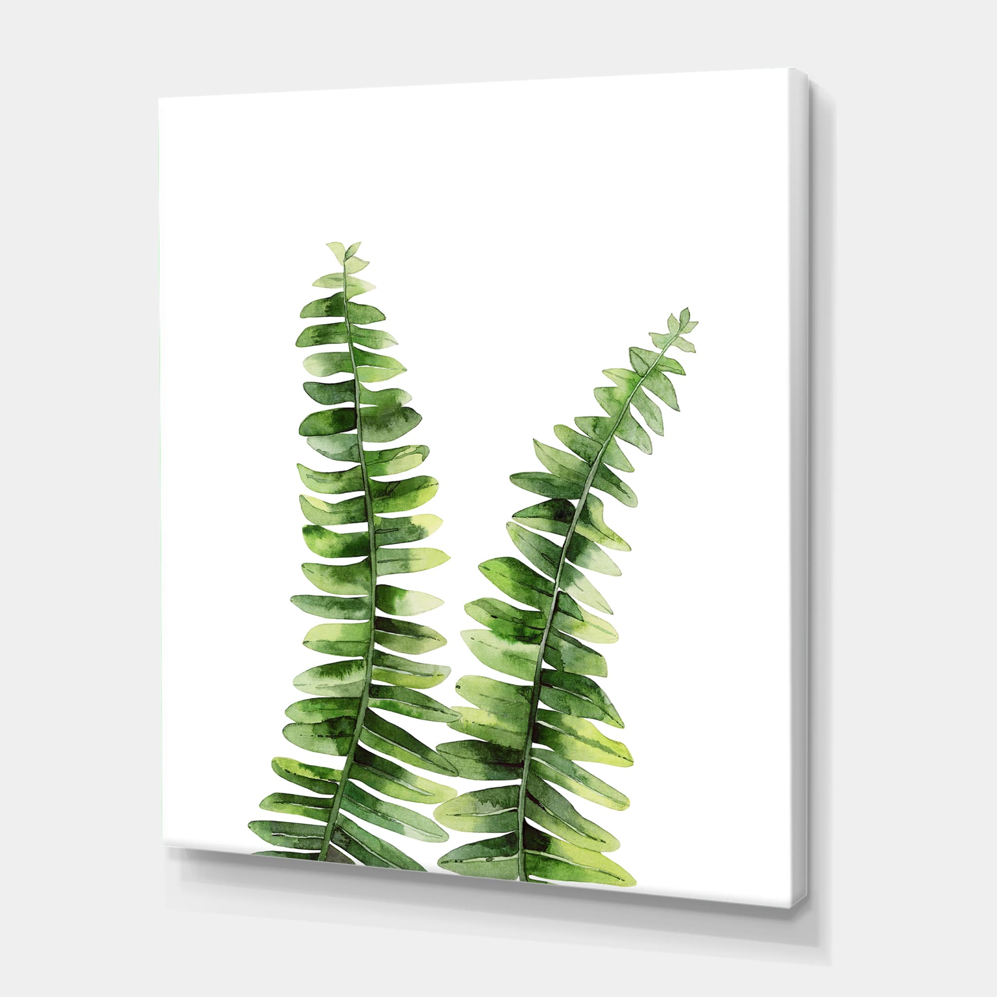 Designart - Fern Plant In Greenbotanical Detail - Tropical Canvas Wall Art Print