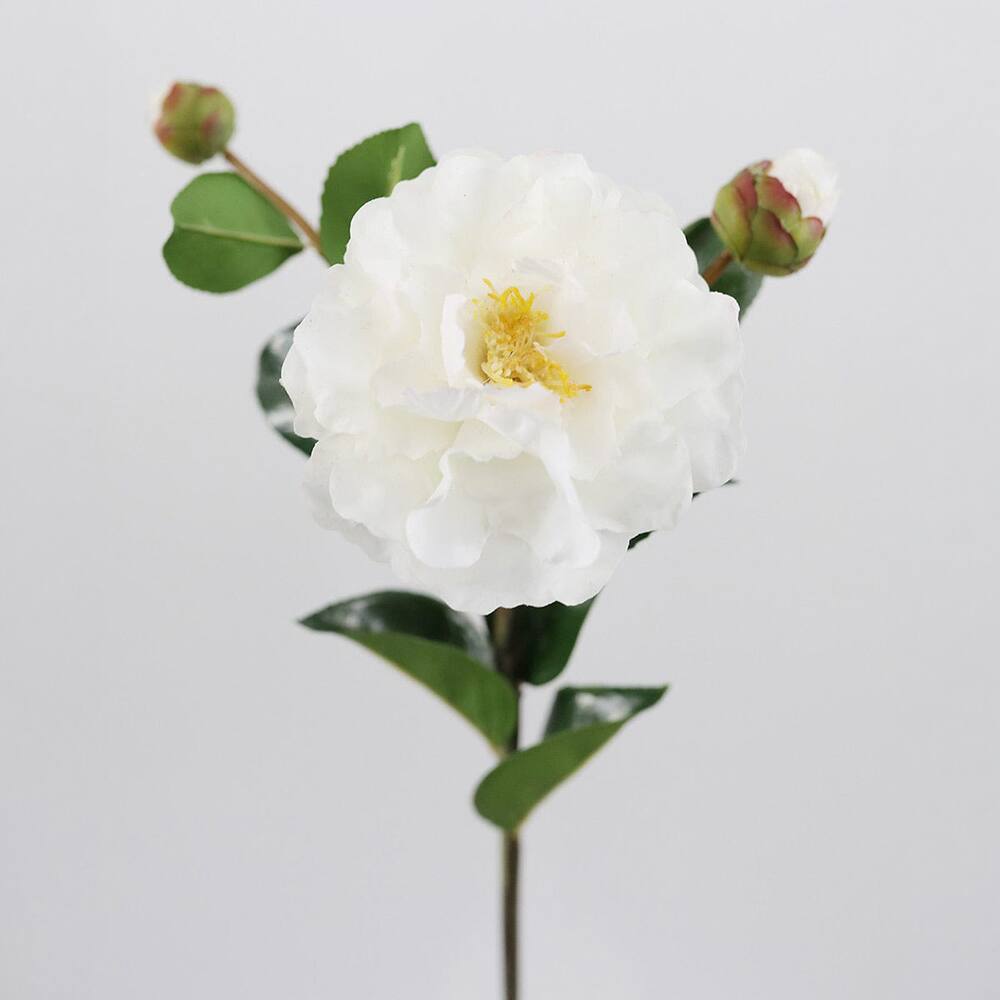 Prestige Botanicals 28.5" Artificial Real Touch White Camellia Stem