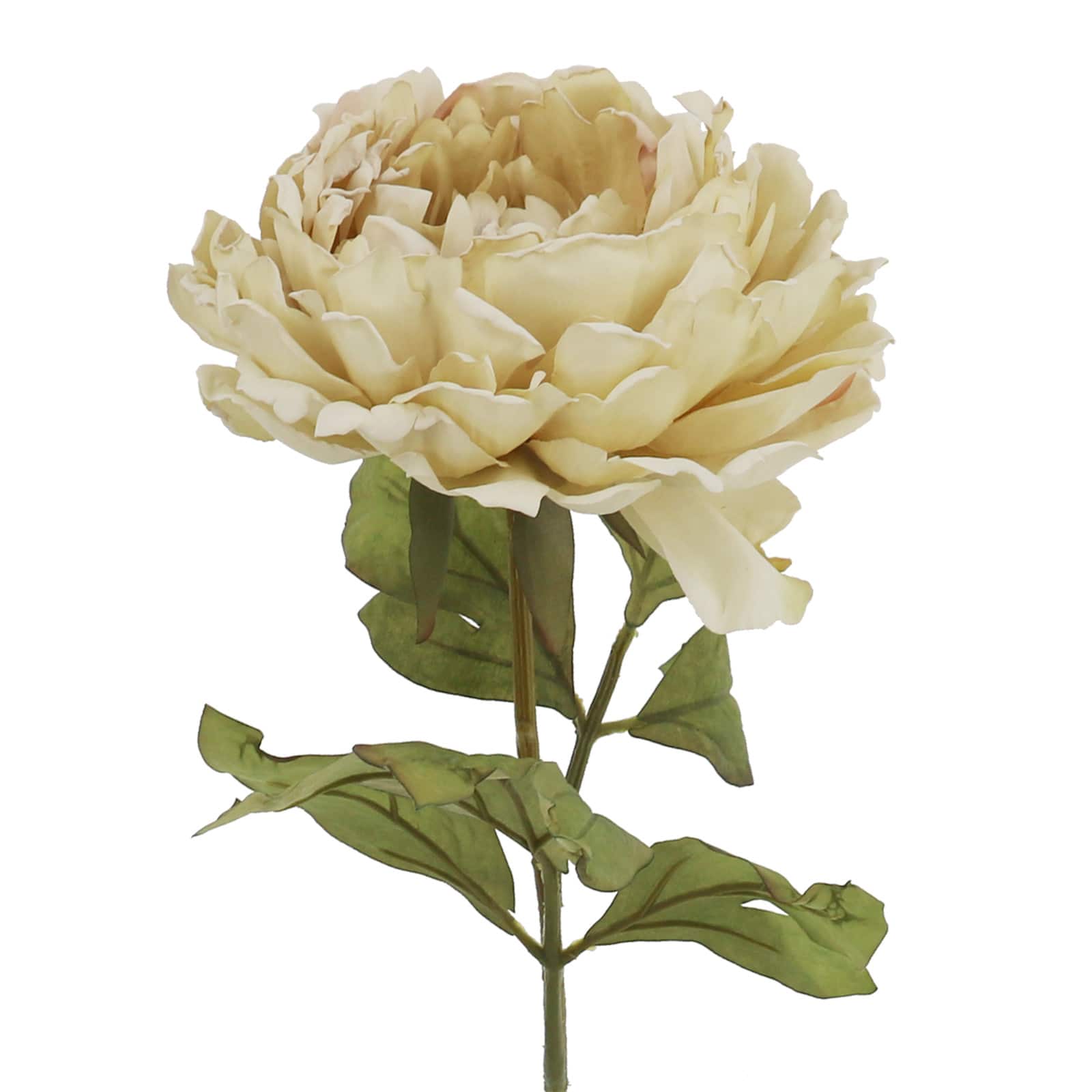 27" Peony Stem by Ashland®