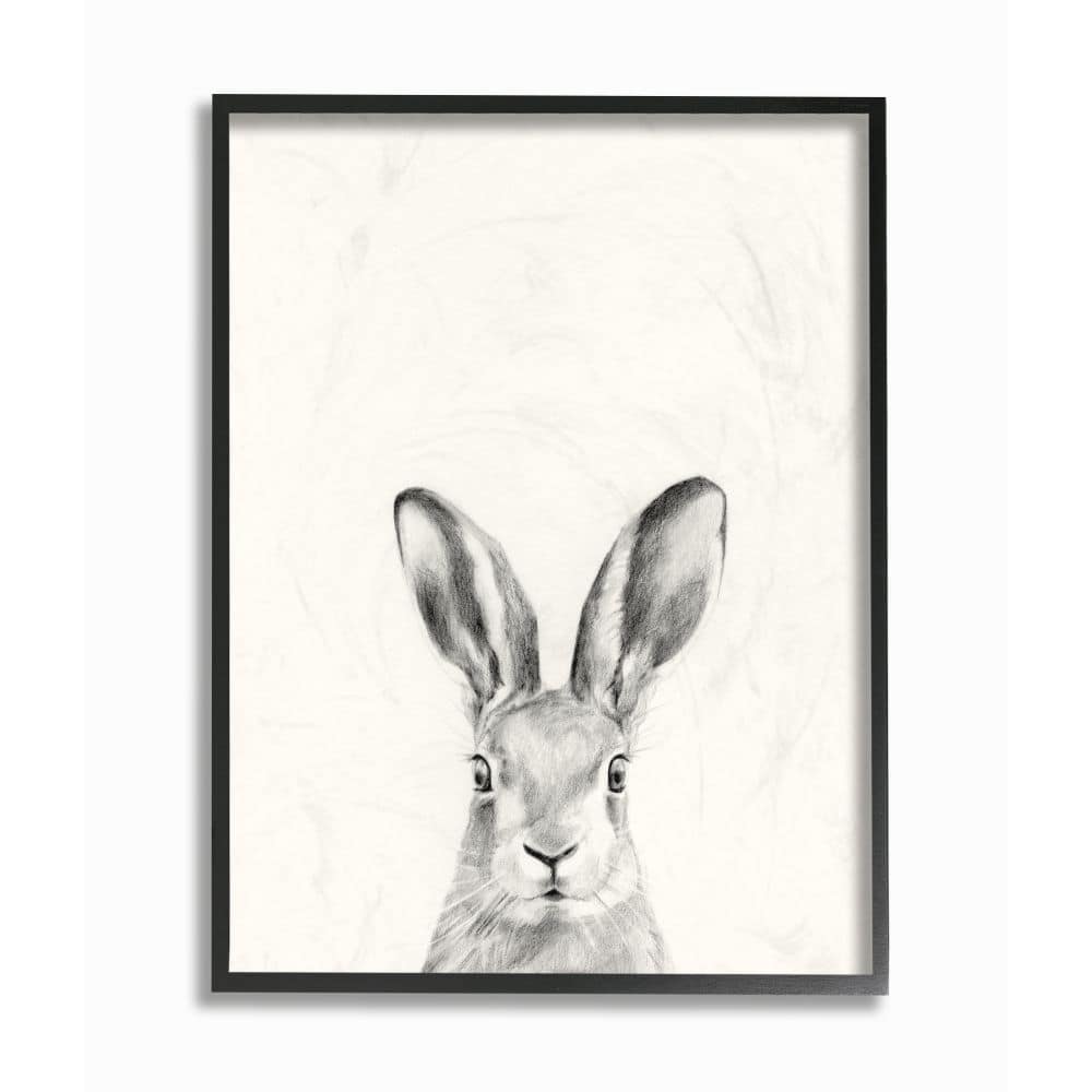 Stupell Industries Bunny Rabbit Portrait Grey Drawing Design Framed Wall Art