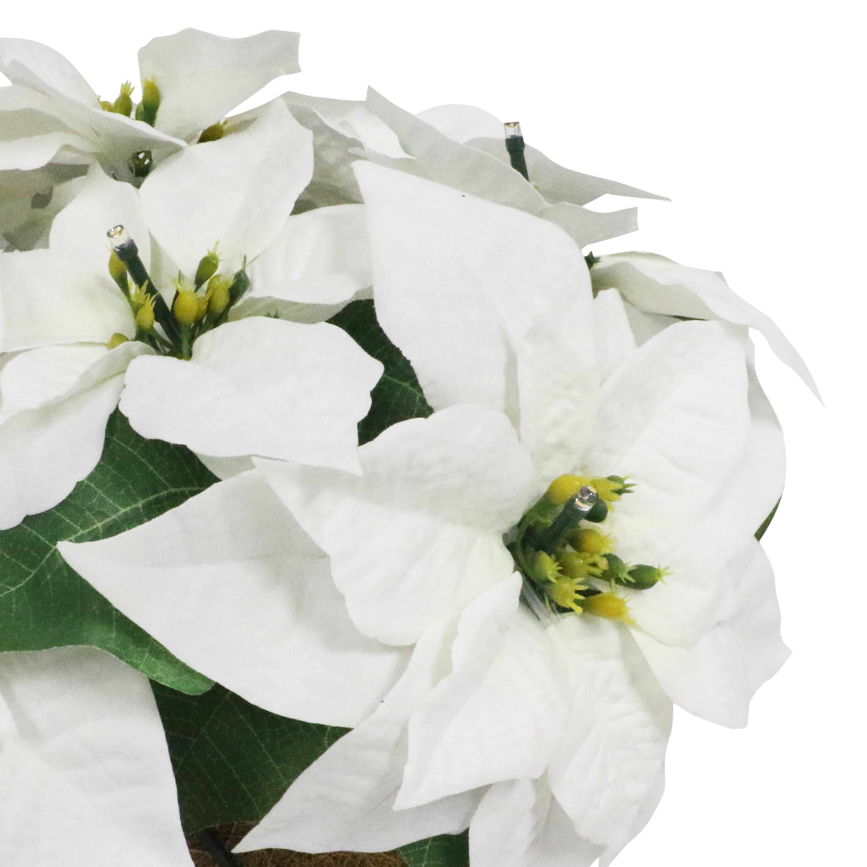 19" Pre-Lit Battery-Operated Artificial Potted Poinsettias