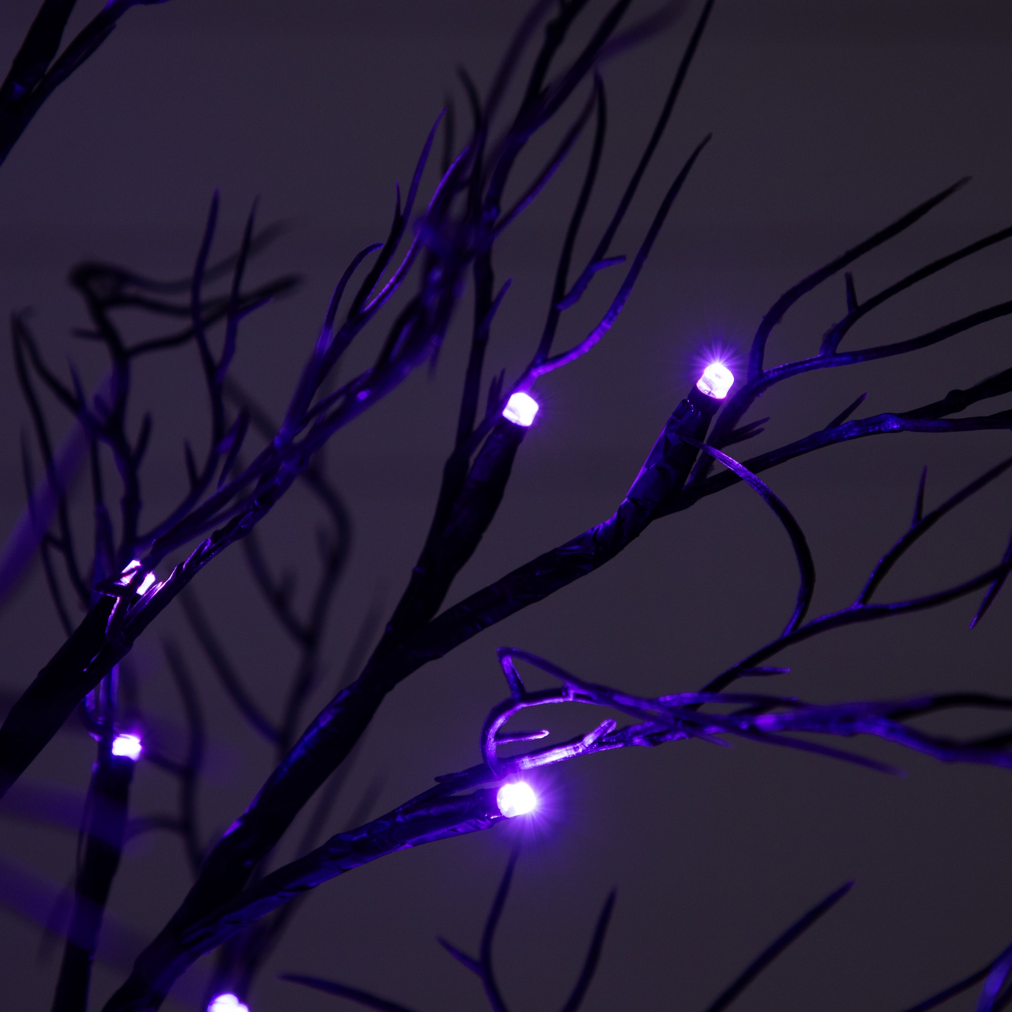 2ft. Pre-Lit LED Deluxe Black Twig Artificial Halloween Tree