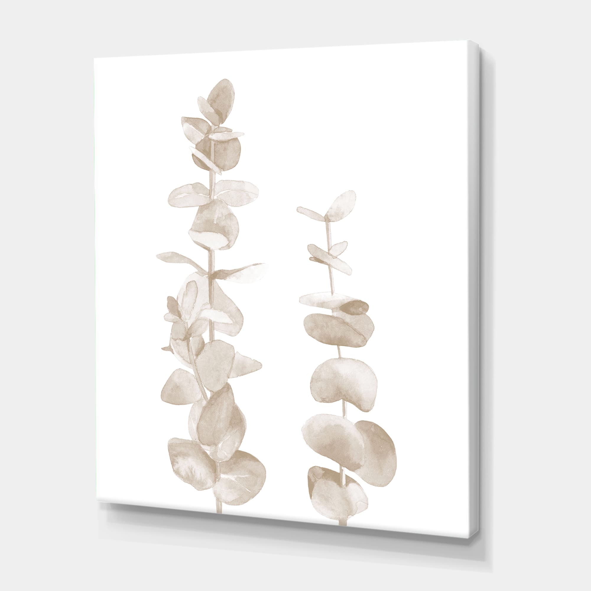 Designart - Beige Eucalyptus Branches On White - Traditional Canvas Wall Art Print