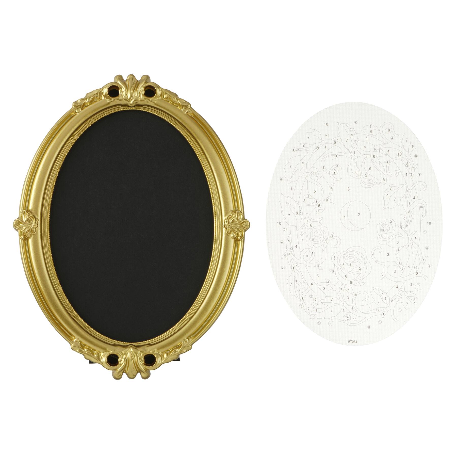 Rose & Thorns Paint-by-Number Framed Mini Kit by Artist's Loft®