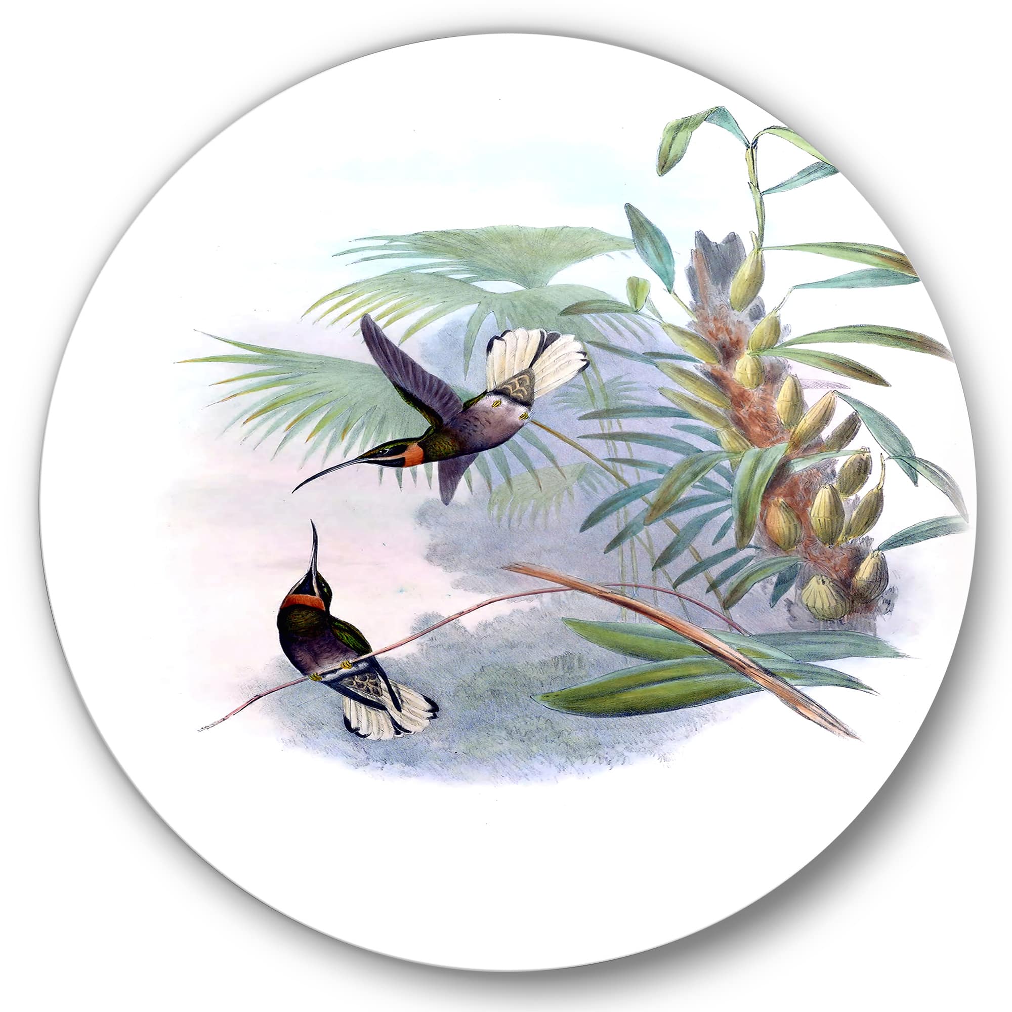 Designart - Vintage Hummingbird On A Branch - Traditional Metal Circle Wall Art