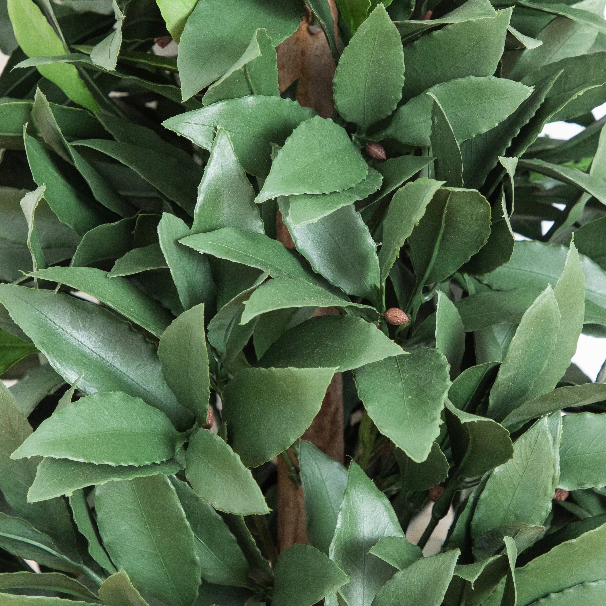 3ft. UV Resistant Artificial Laurel Plant with Integrated Ground Stake (Indoor/Outdoor)