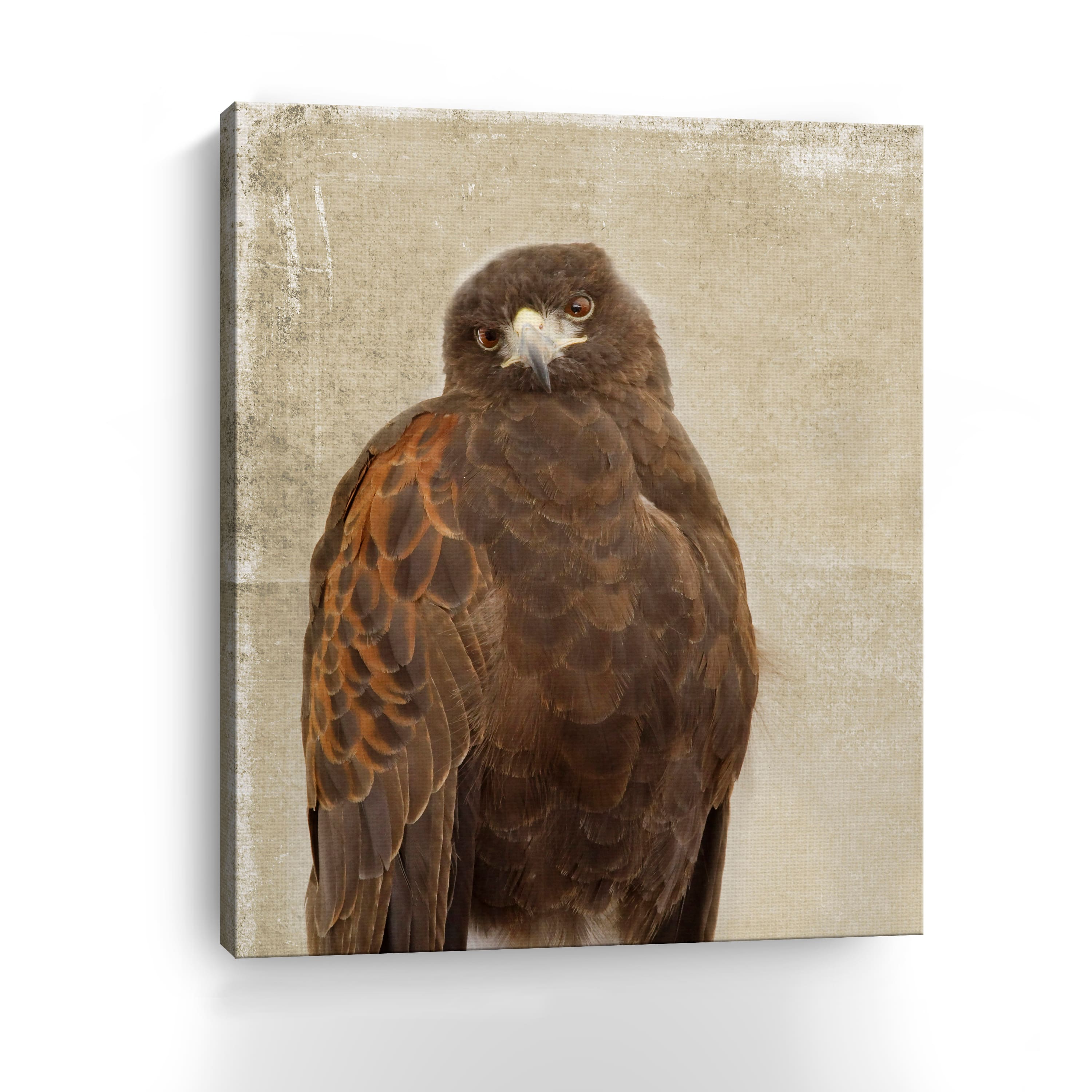 What? Canvas Giclee