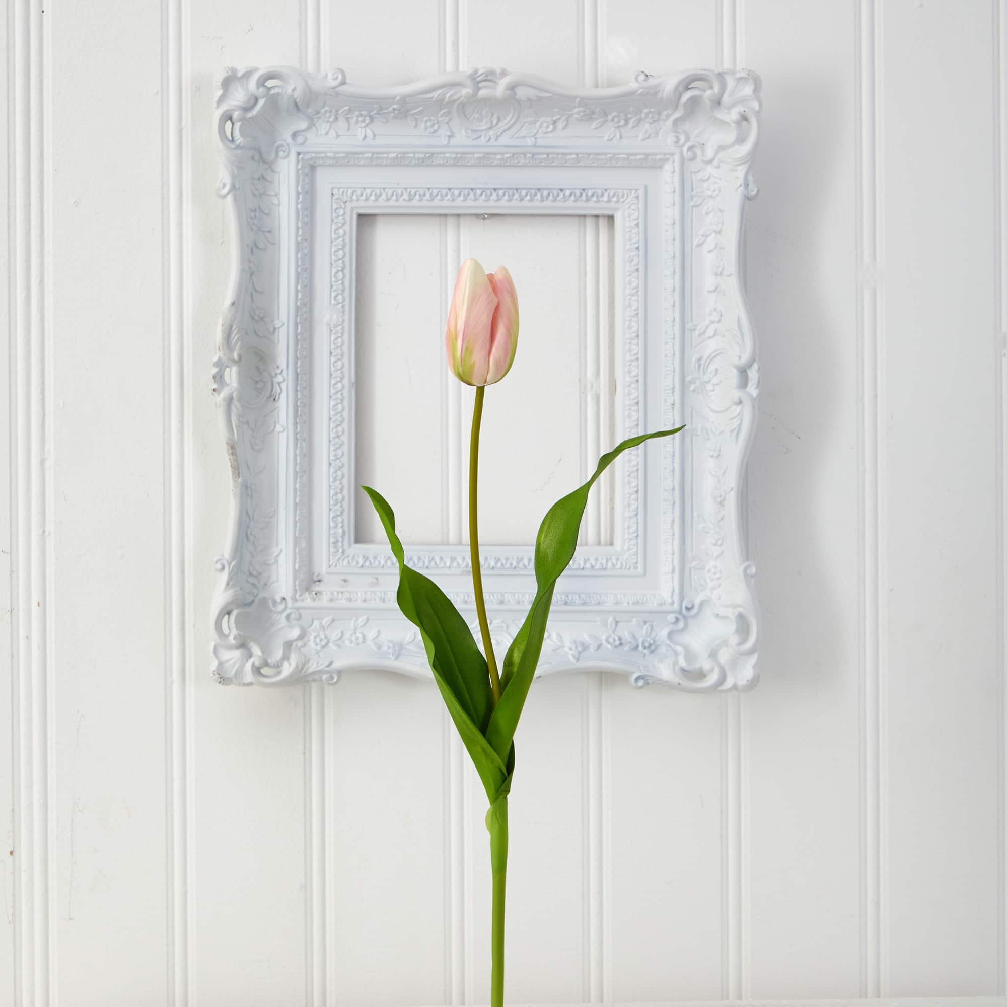 Pink & Cream Dutch Tulip Stem, 12ct.