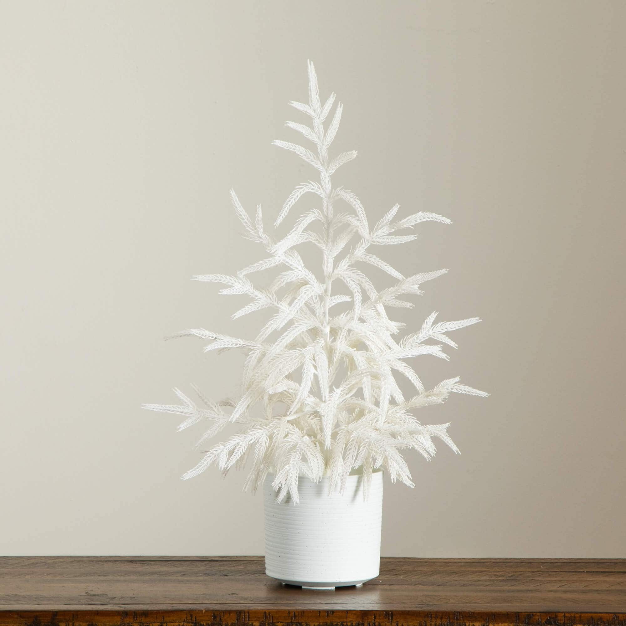 2ft. Artificial Real Touch White Norfolk Island Pine Christmas Tree with Natural Look