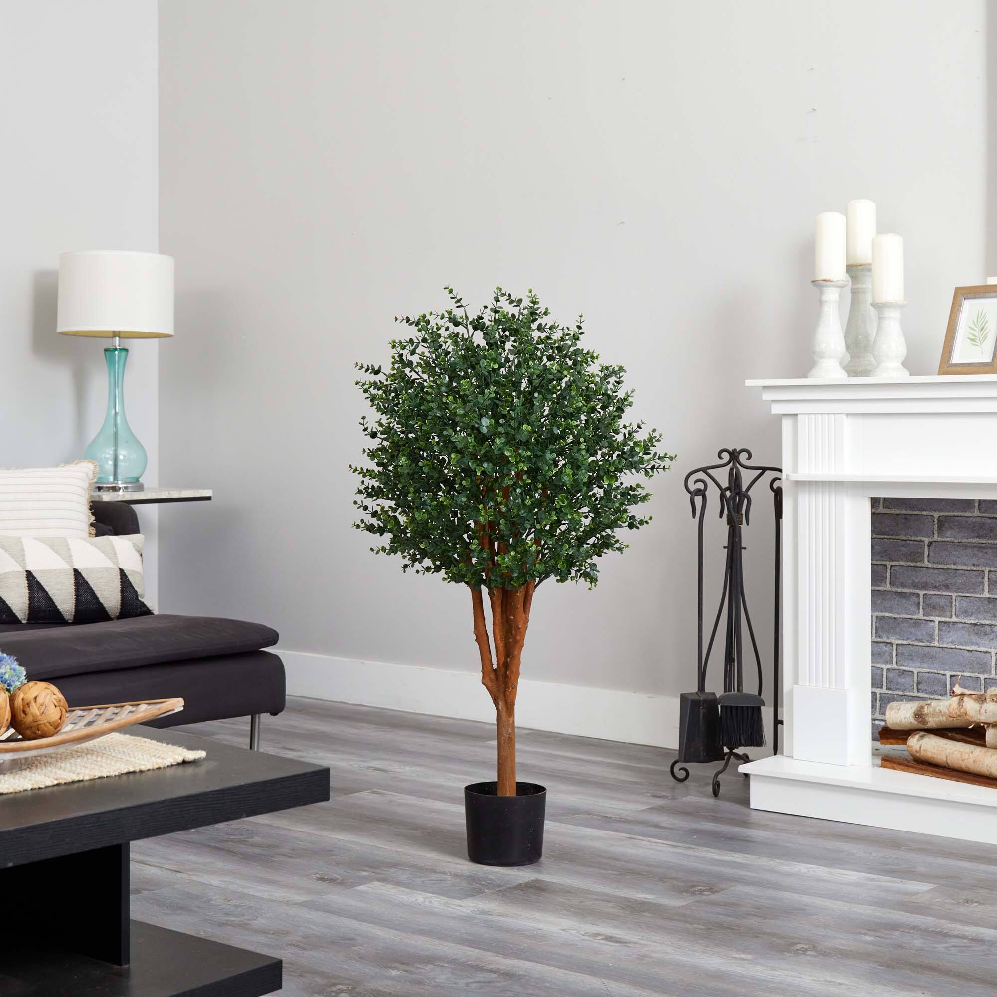 4ft. Potted Eucalyptus Tree