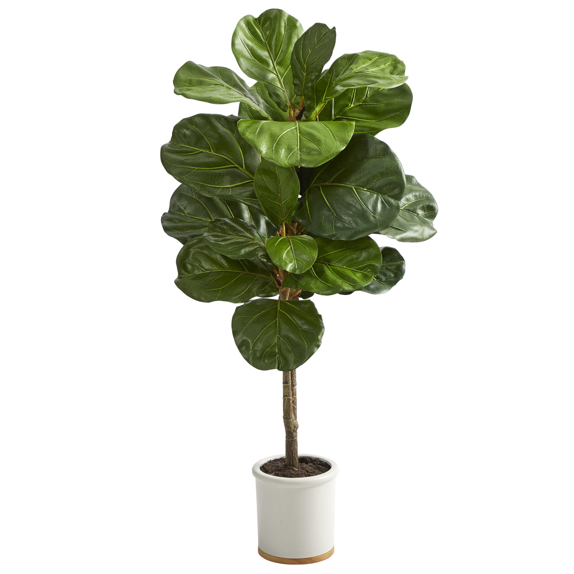 3.5ft. Fiddle Leaf Tree in White Ceramic Planter