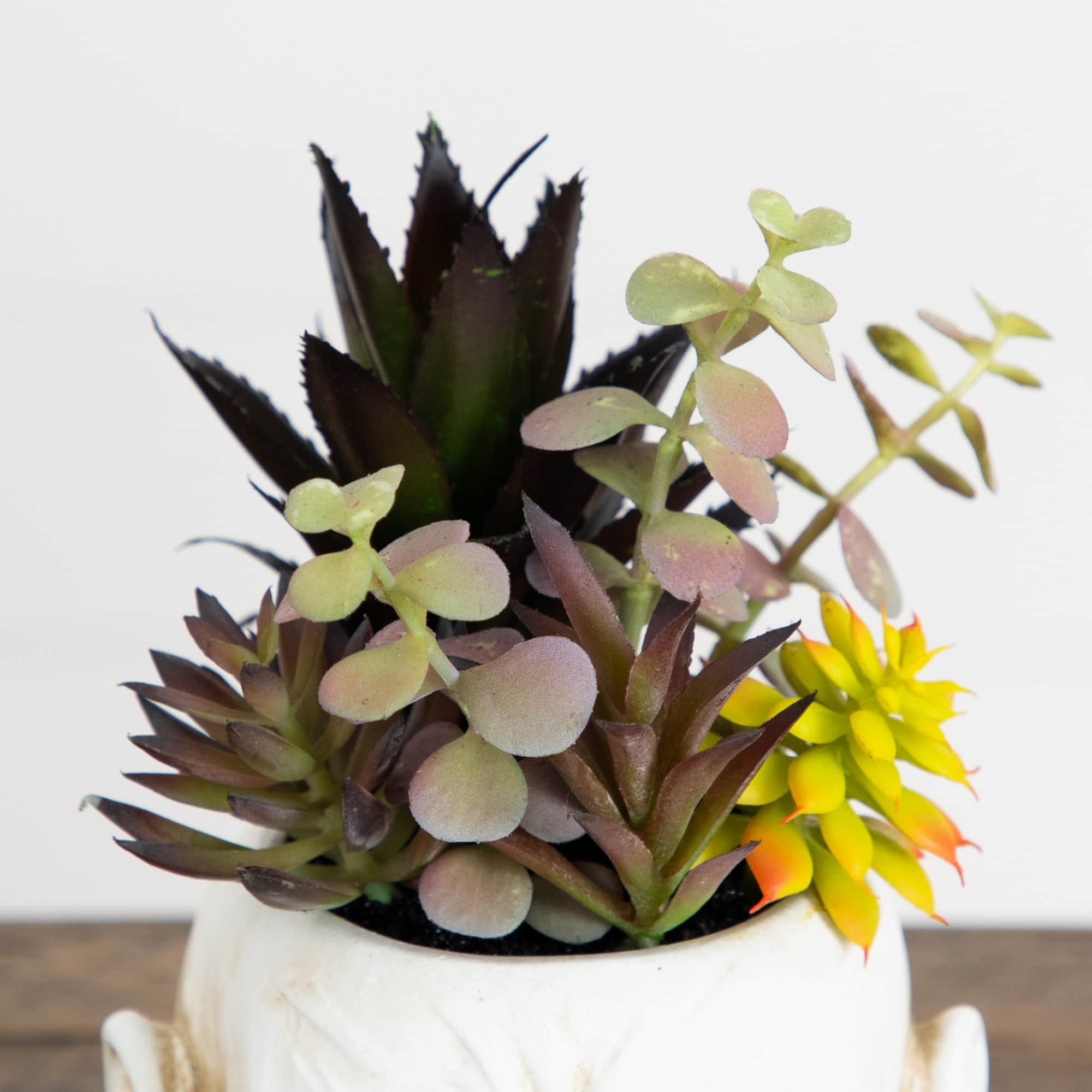 8" Artificial Halloween Succulent Garden in Zombie Halloween Planter