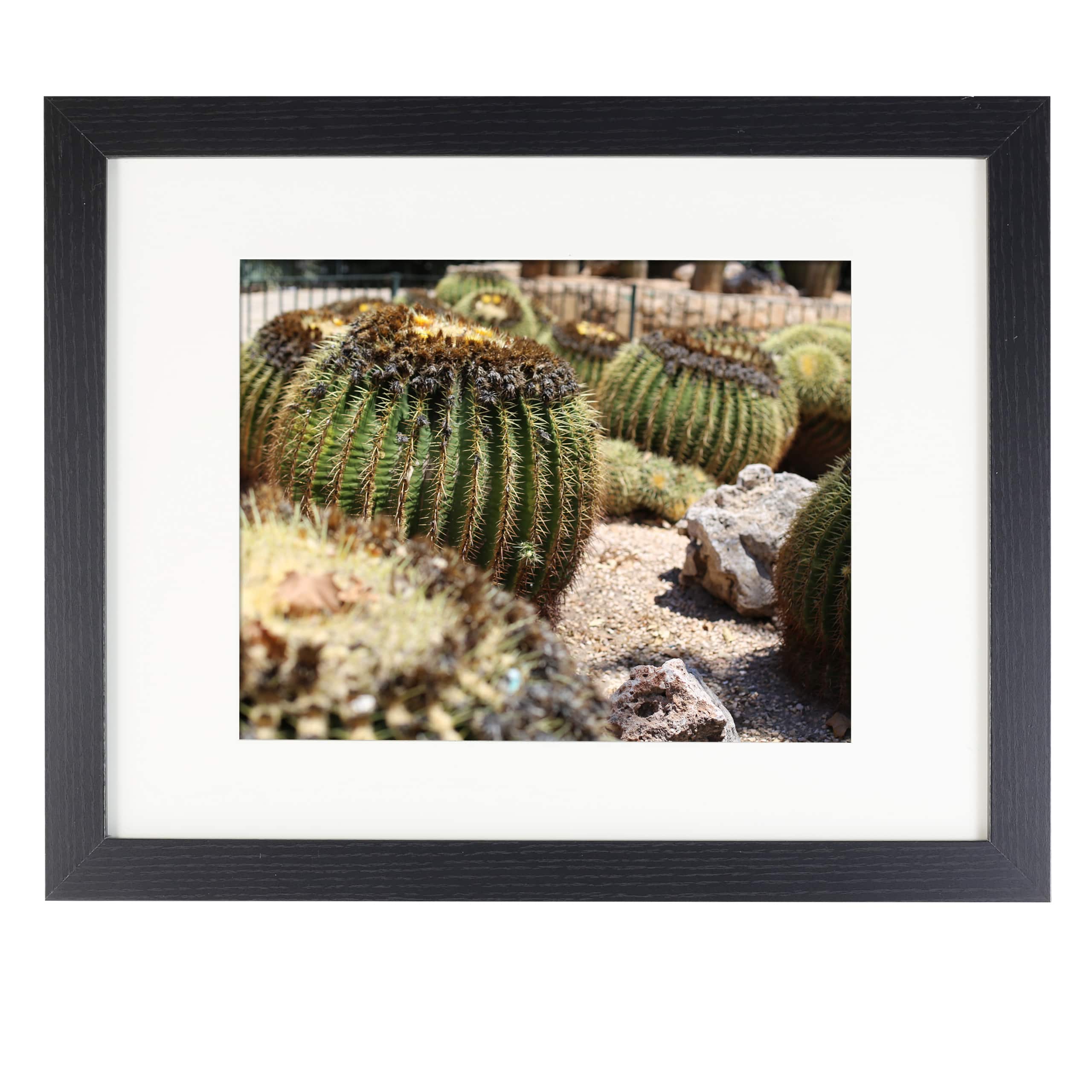 8 Pack: Belmont Frame with Mat by Studio Décor