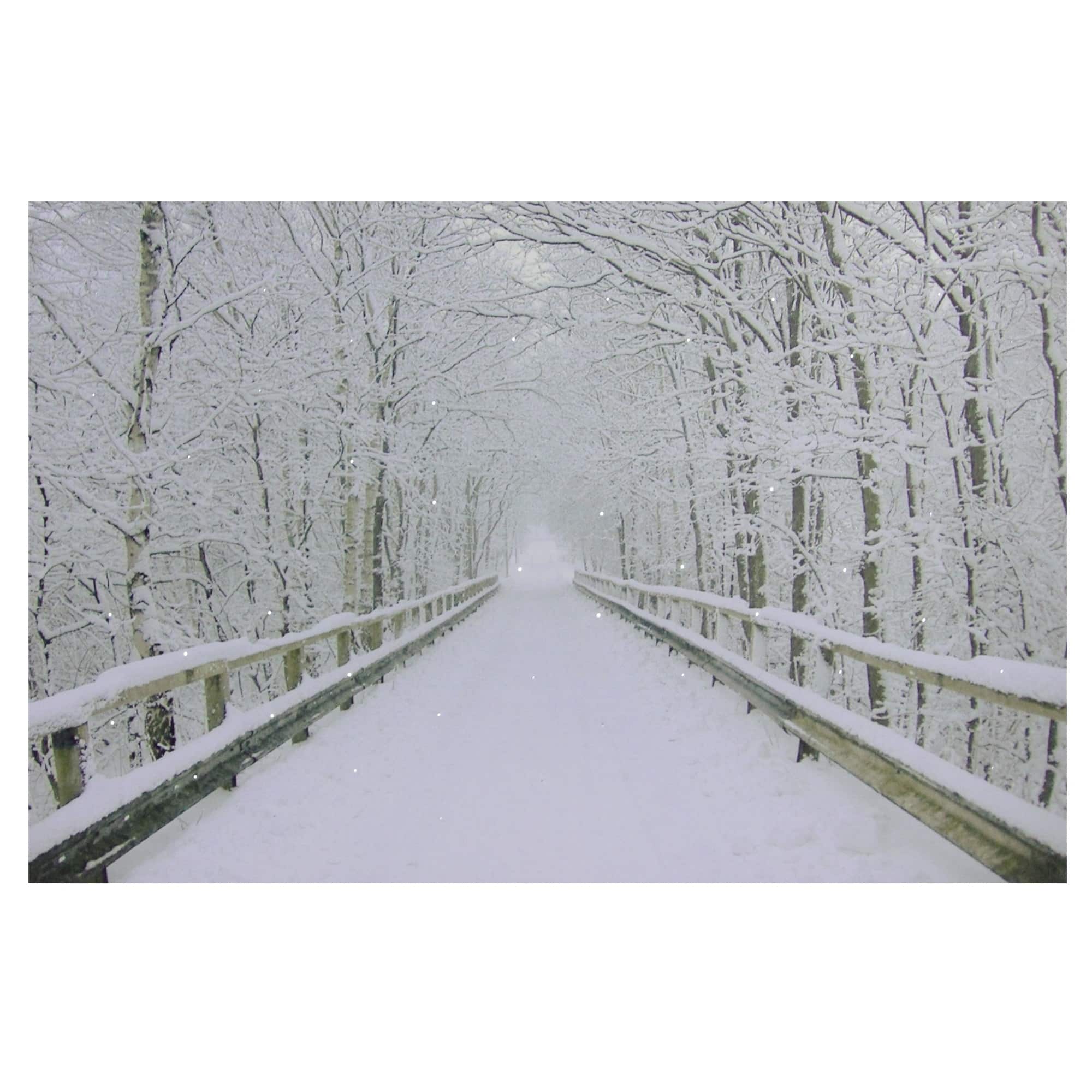 Winter Wooden Bridge Fiber Optic Lighted Canvas Wall Art