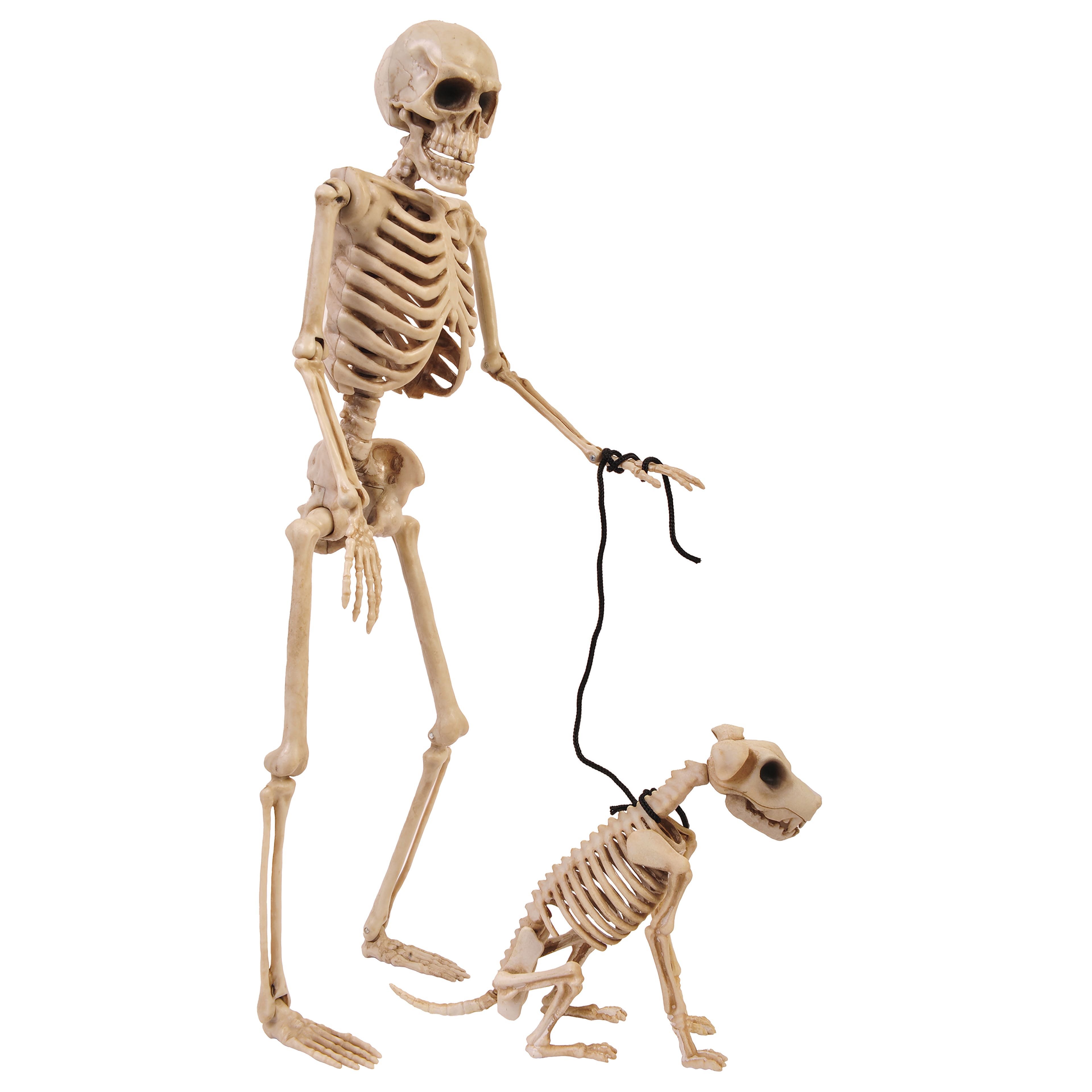 Skeleton Dog Walker by Ashland®