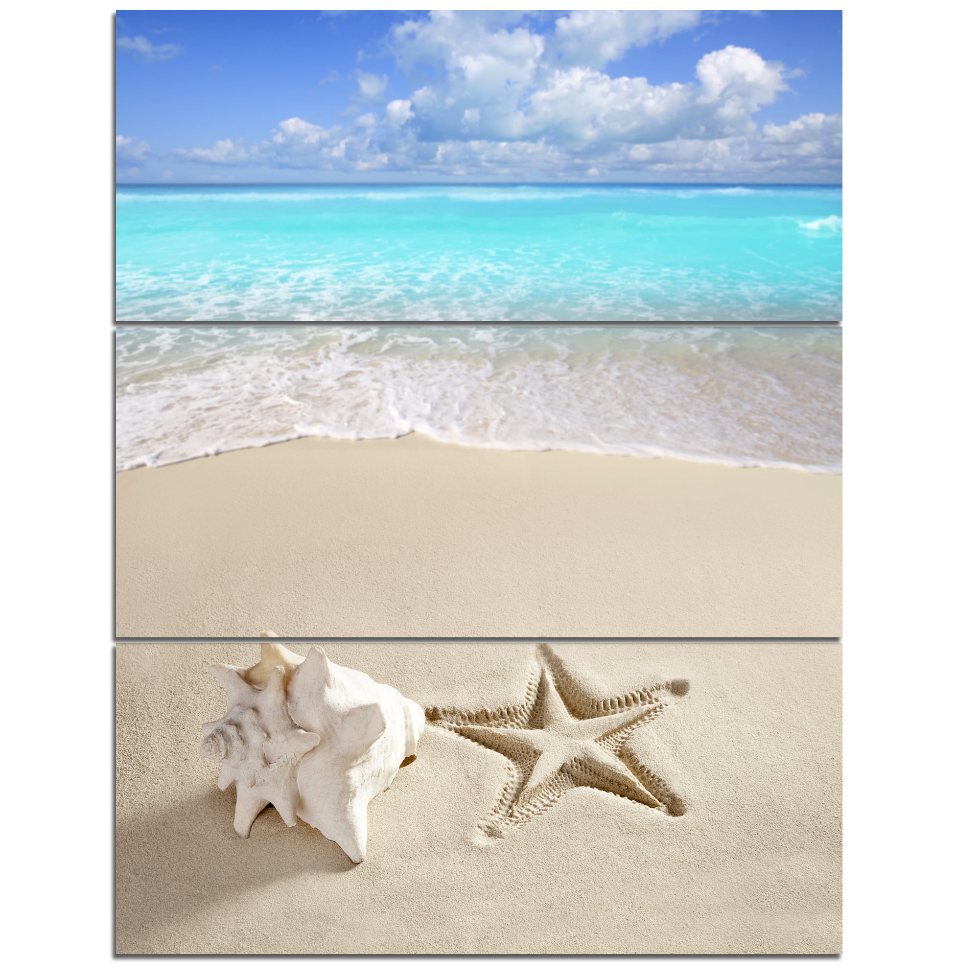 Designart - Caribbean Beach Starfish