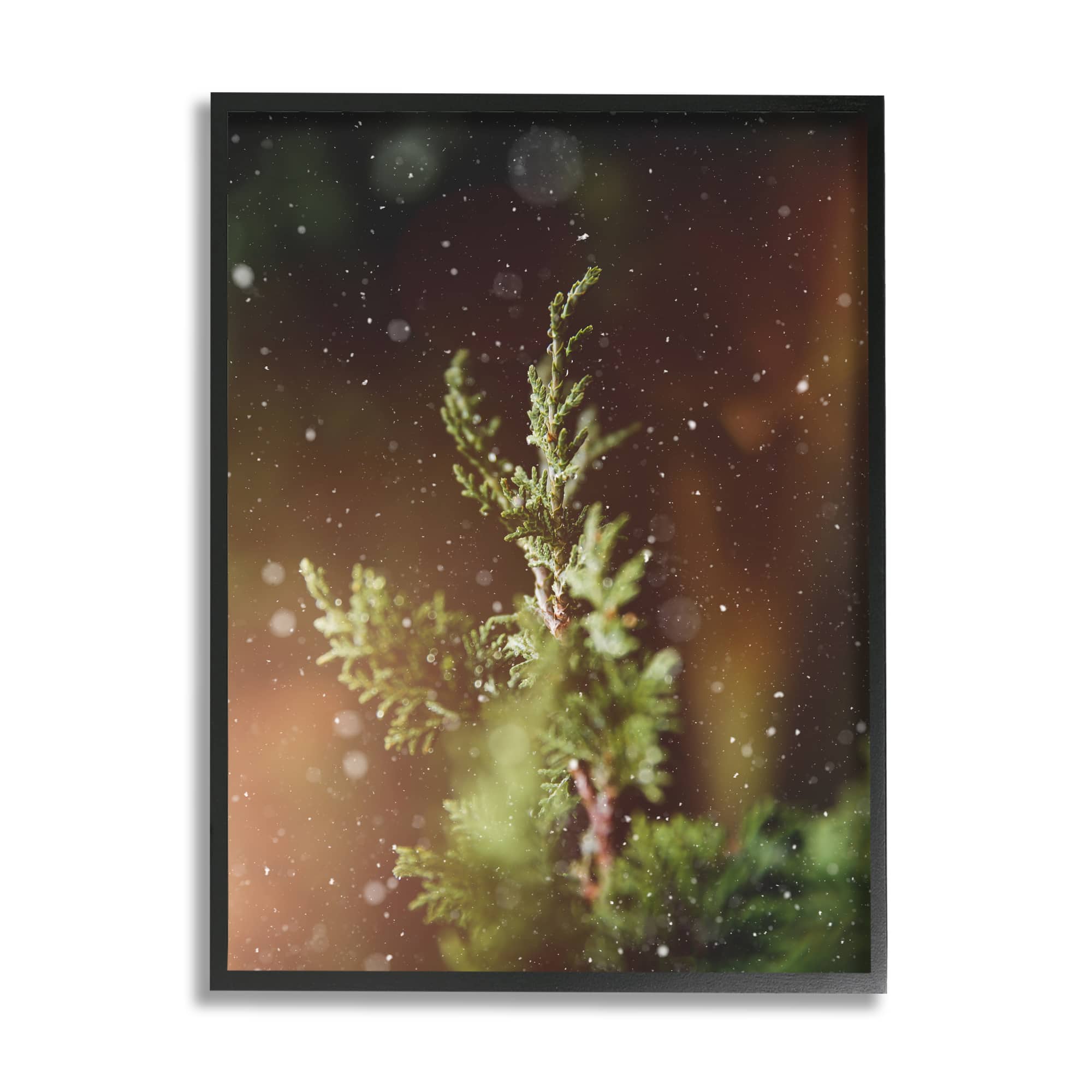 Stupell Industries Winter Snowfall Night Pine Tree Framed Giclee Art