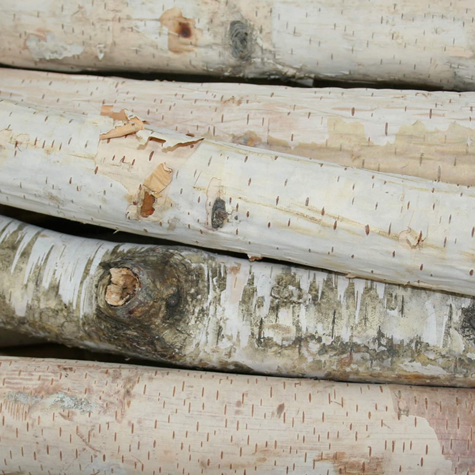 Wilson® Enterprises Birch Logs Set, 12ct.