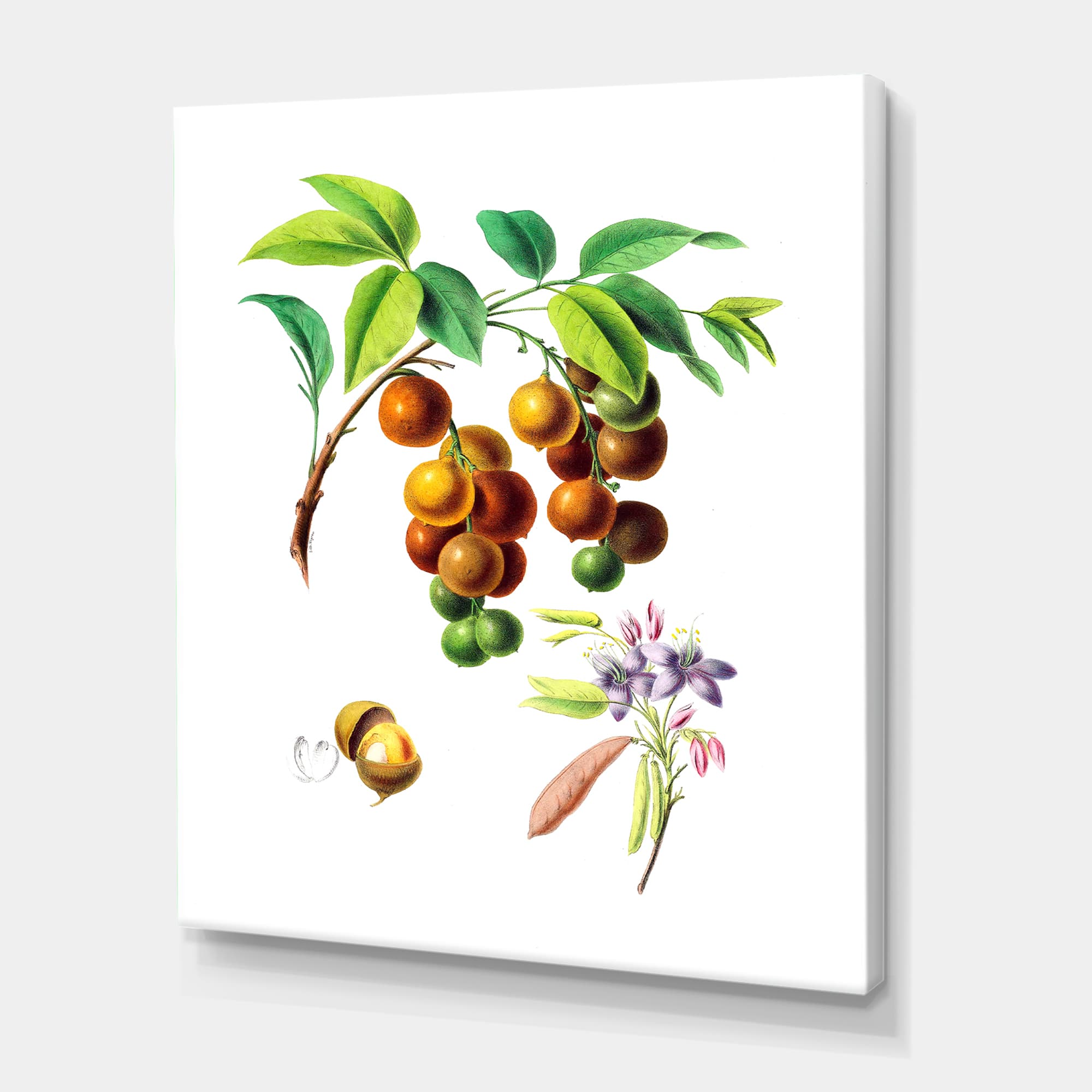 Designart - Vintage Fruits III - Farmhouse Canvas Wall Art Print