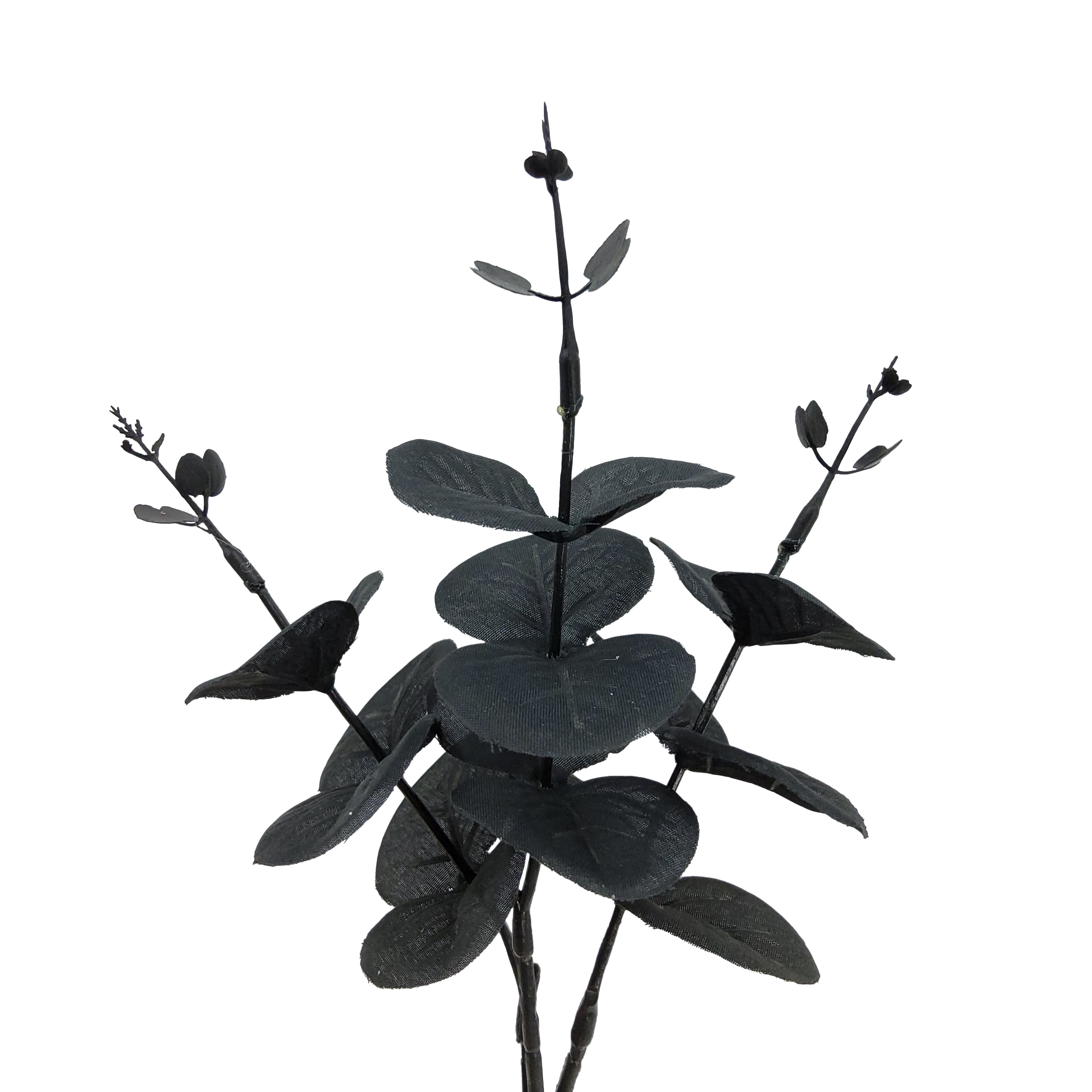 12" Eucalyptus Mini Bundle by Ashland