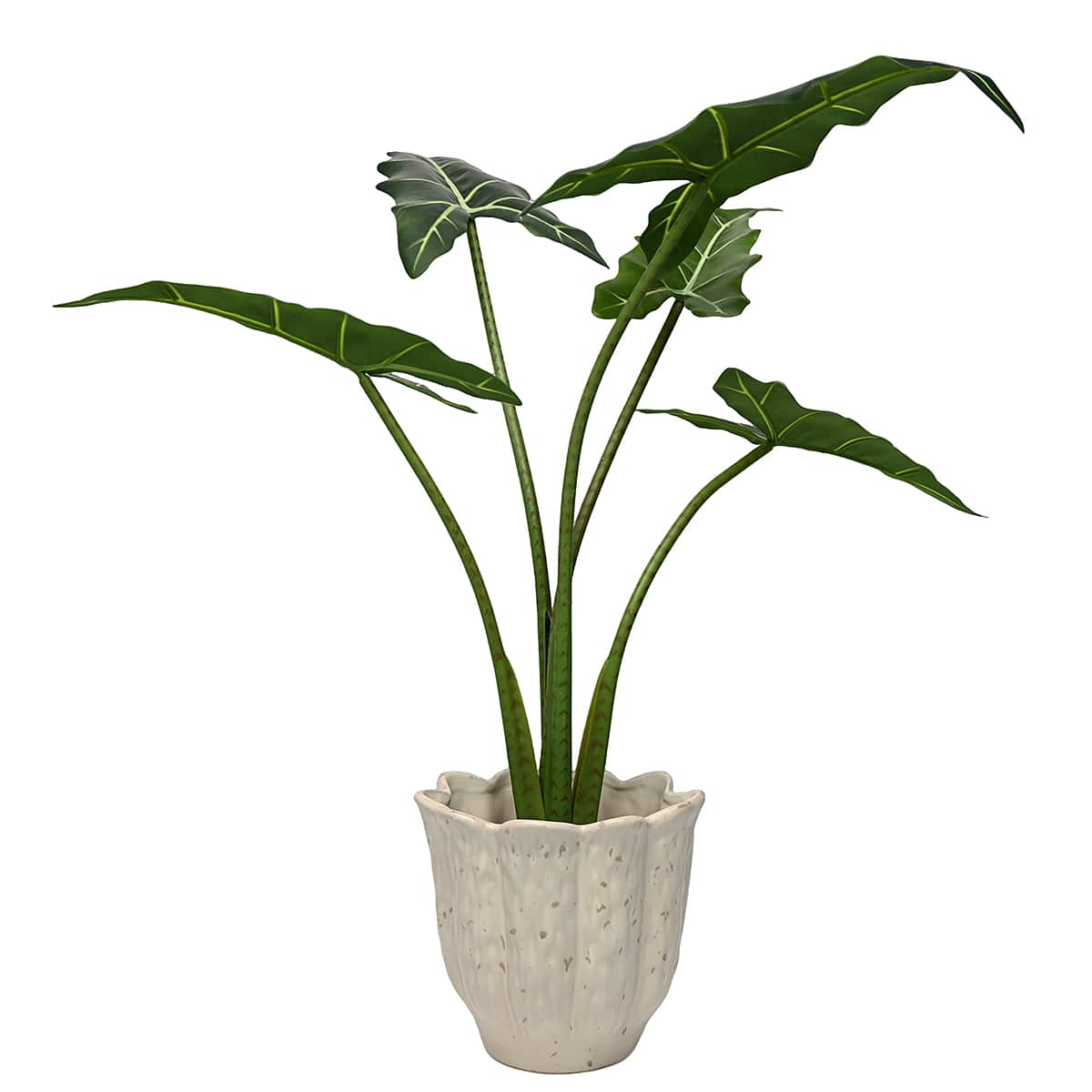 8.75" Cream Ceramic Pot by Ashland®