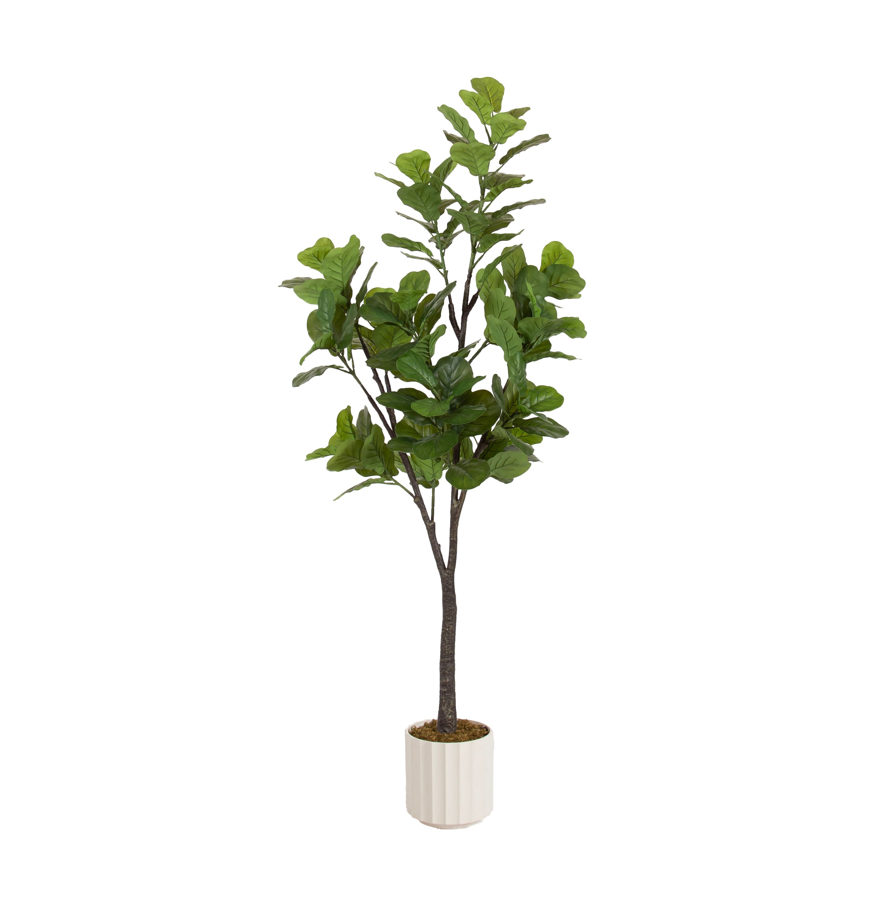Kate and Laurel 6ft. Fidmont Faux Fiddle Fig Tree with White Planter