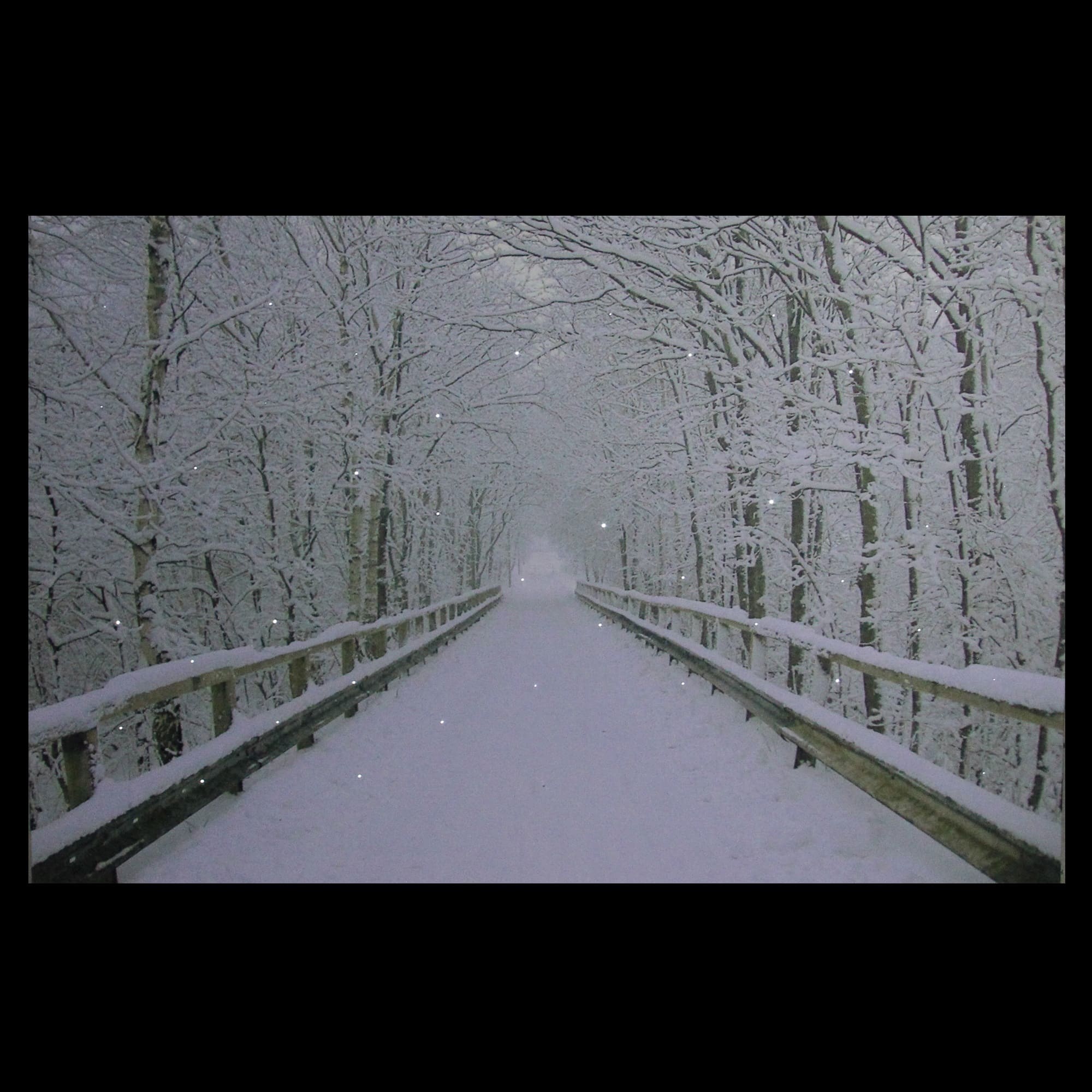 Winter Wooden Bridge Fiber Optic Lighted Canvas Wall Art