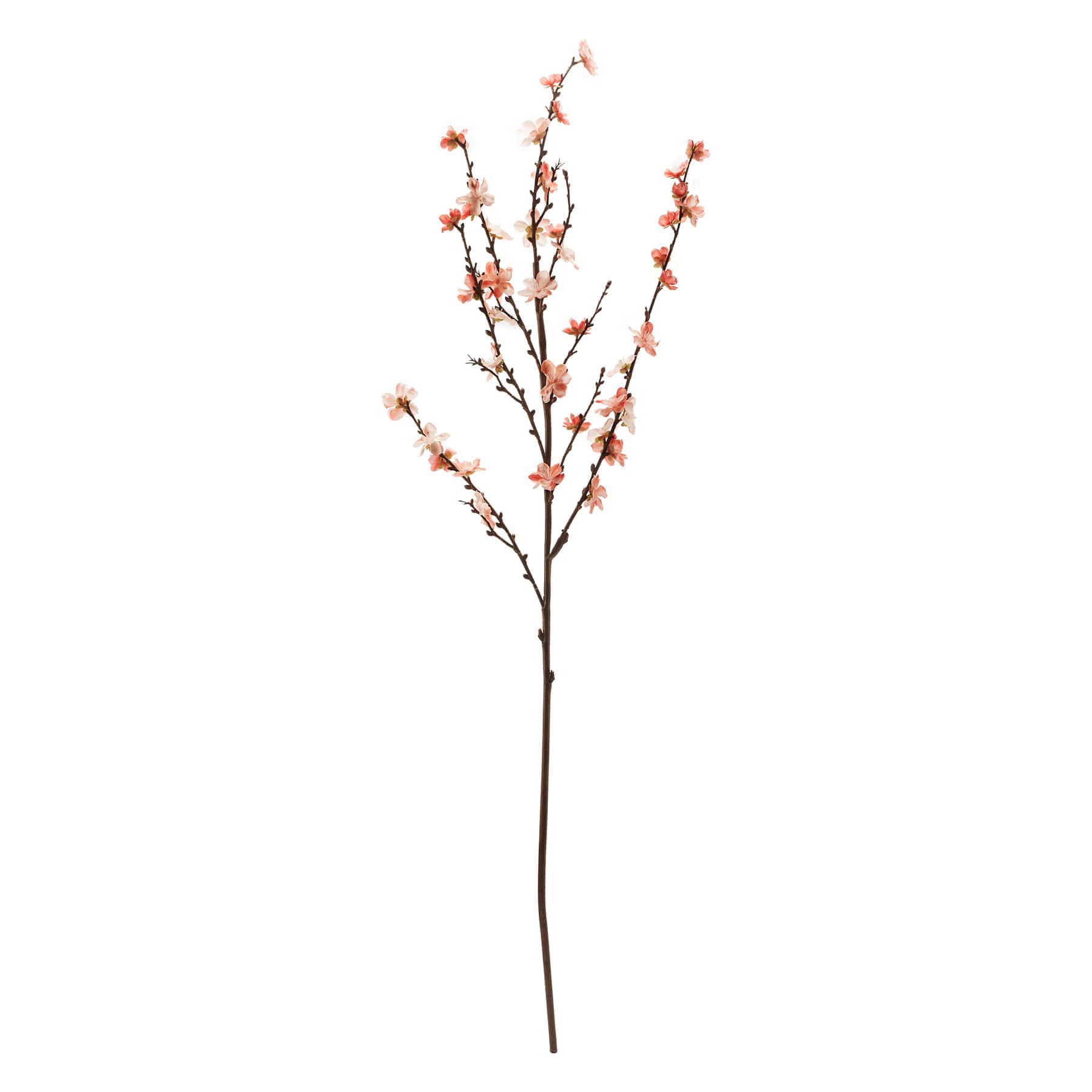 12 Pack: Coral Peach Blossom Spray by Ashland®