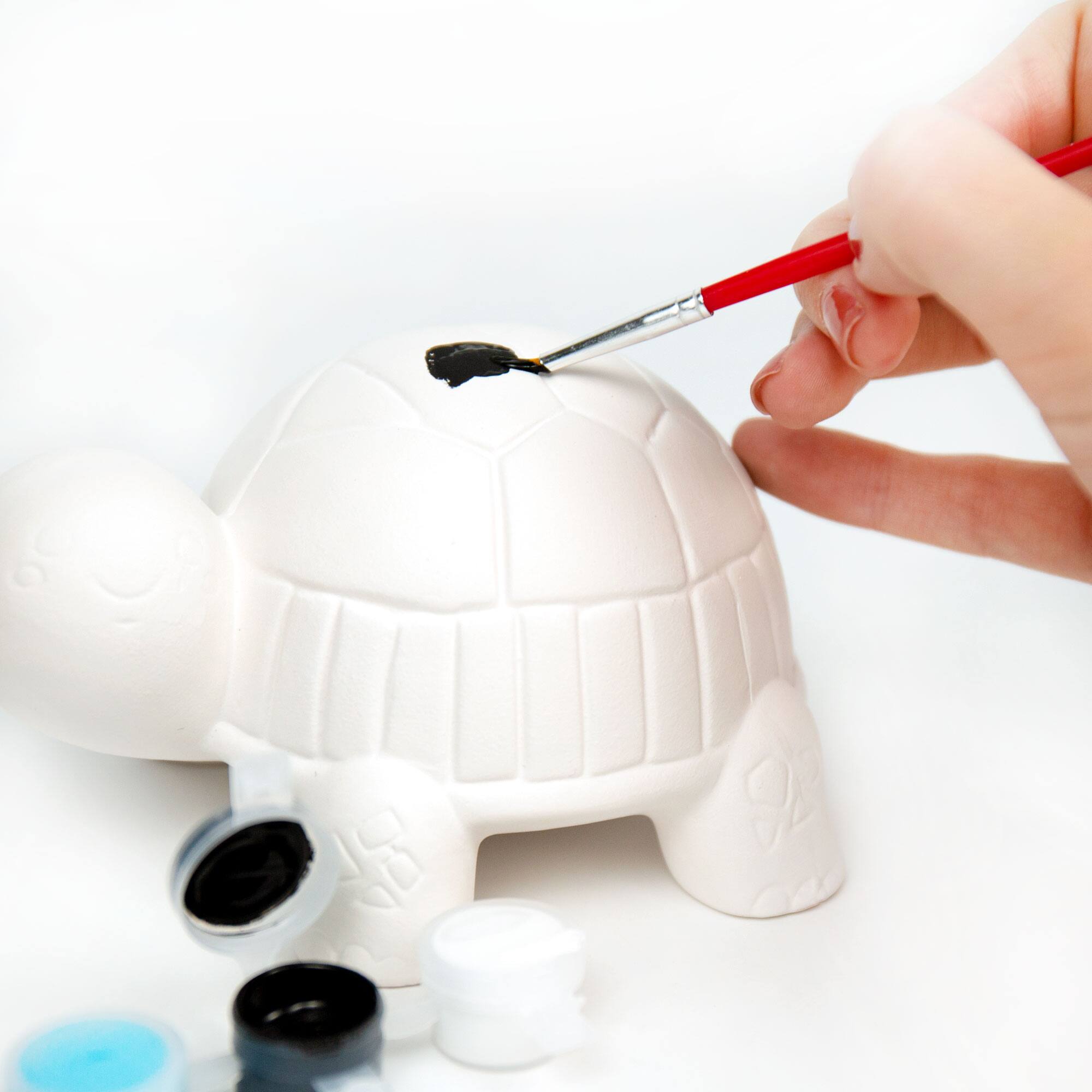 Color Zone® Paint Your Own Turtle Kit