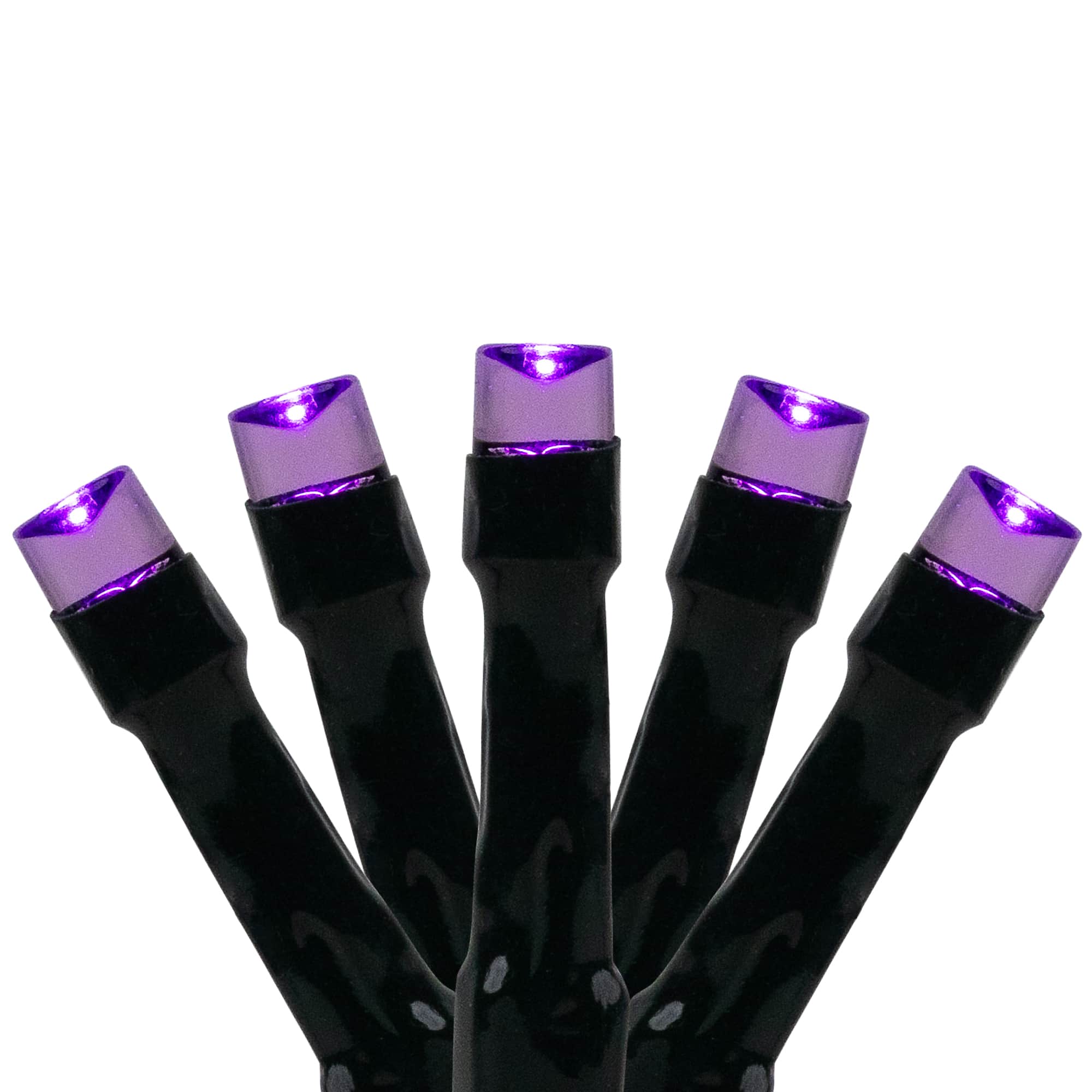Northlight 20ct. LED Wide Angle Christmas & Halloween String Lights in Purple | 10 ft | Michaels®