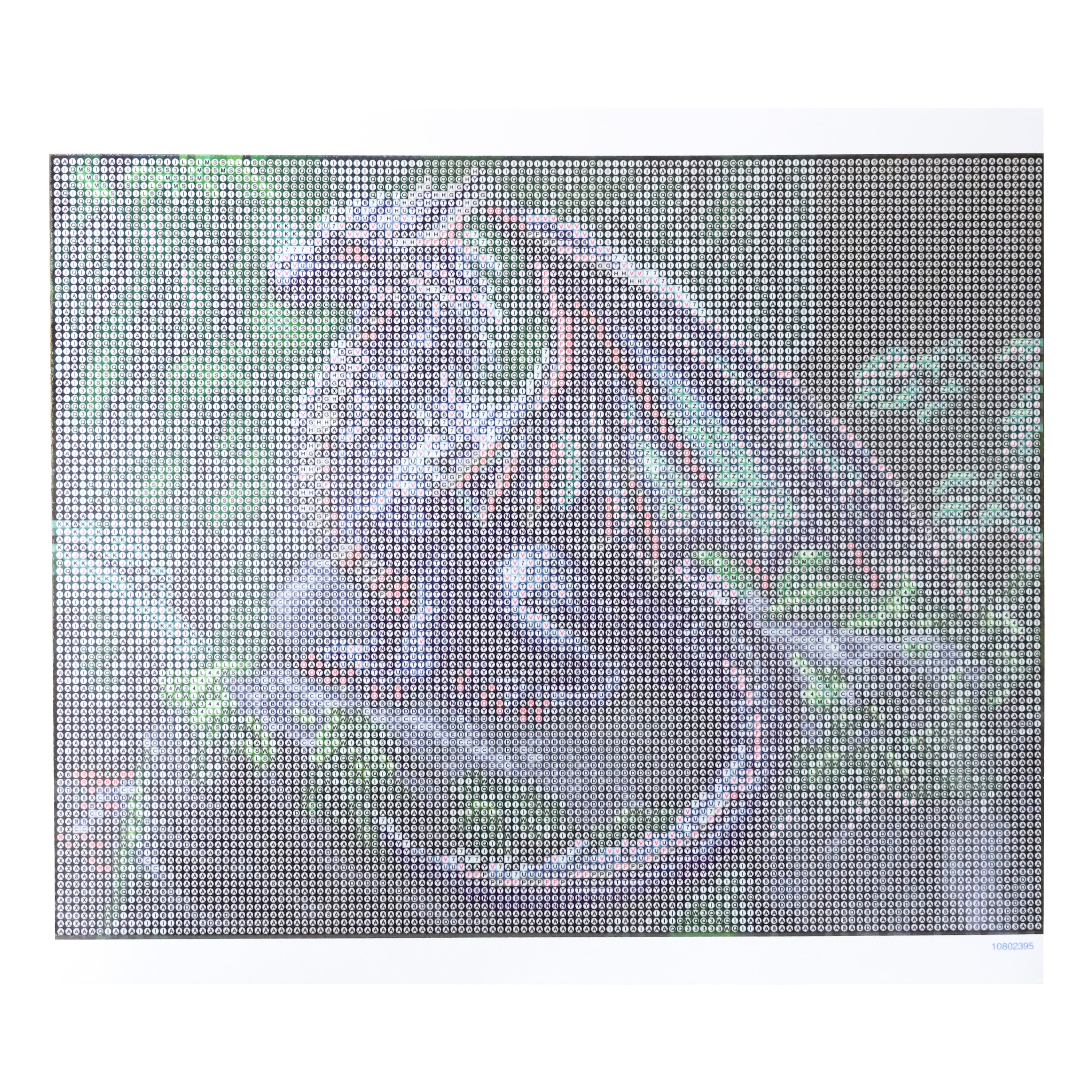 11" x 14" Dragon Diamond Art Kit by Make Market®