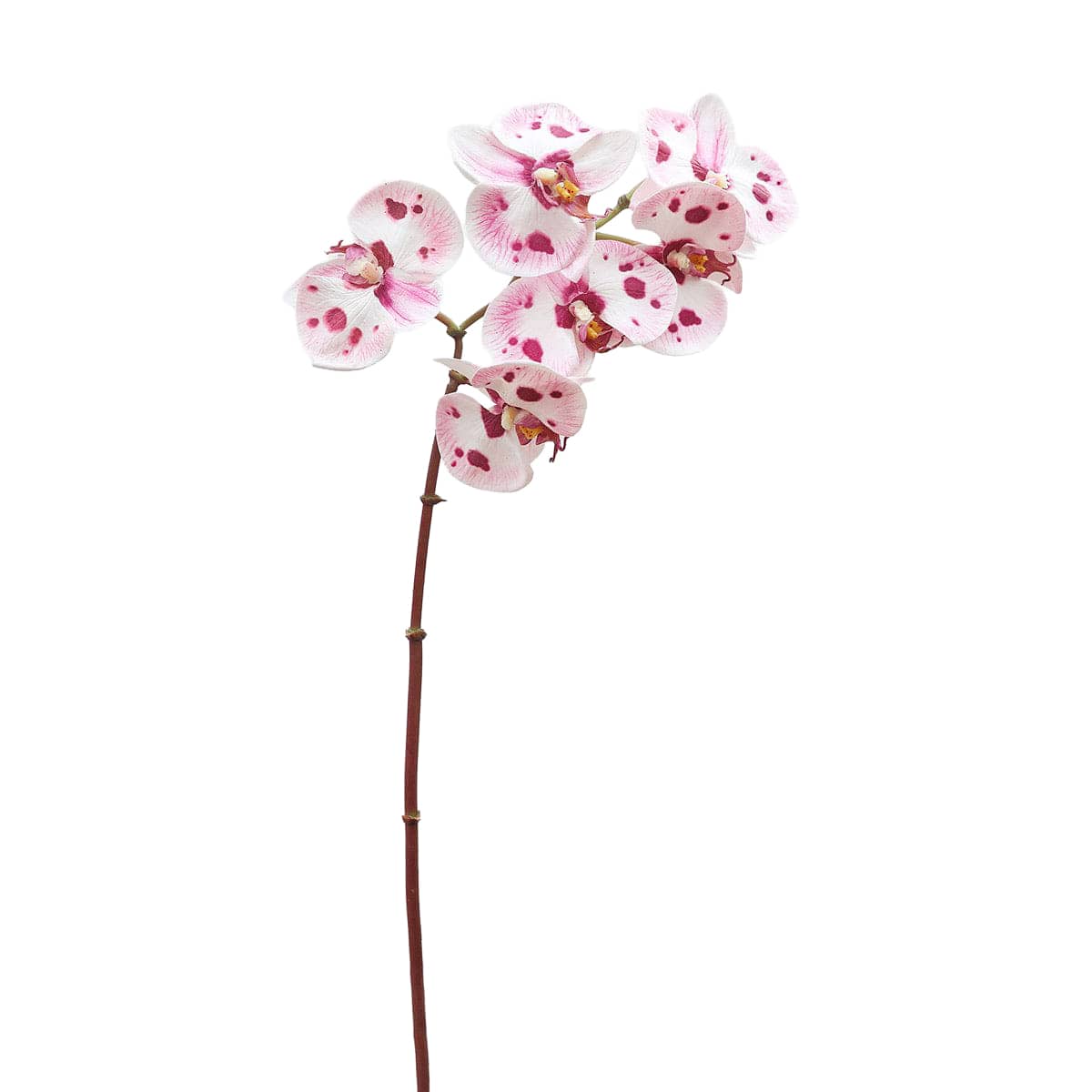 Prestige Botanicals 22" Artificial White & Pink Spotted Phalaenopsis Orchid Stem