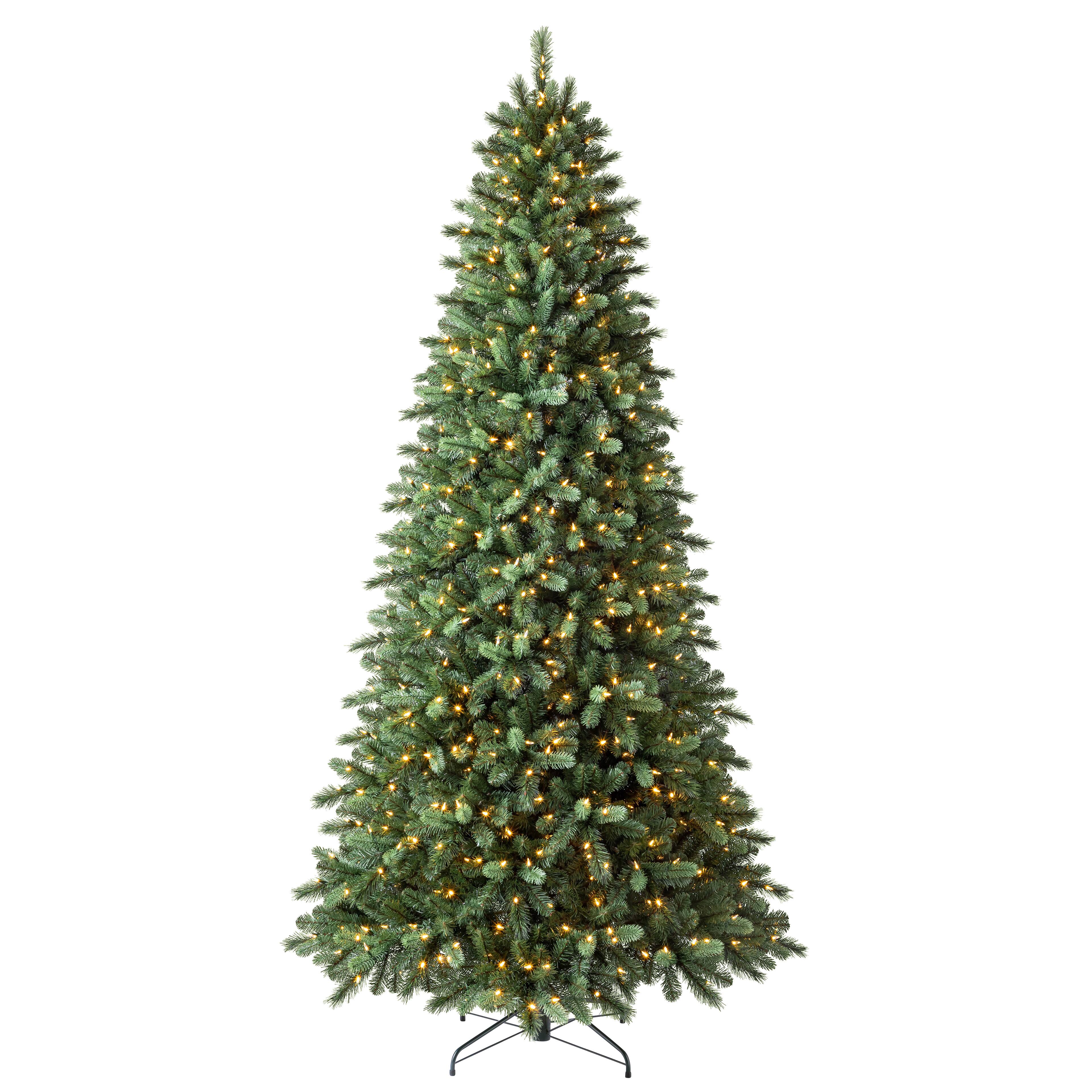 9ft. Pre-Lit Rothwell Fir Realistic Artificial Christmas Tree, Warm White LED Lights by Ashland®