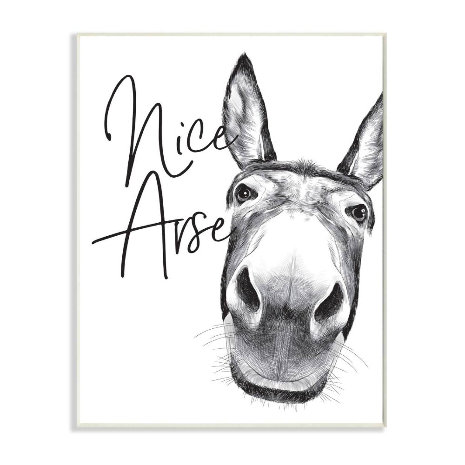 Stupell Industries Nice Arse Donkey Bathroom Wall Plaque