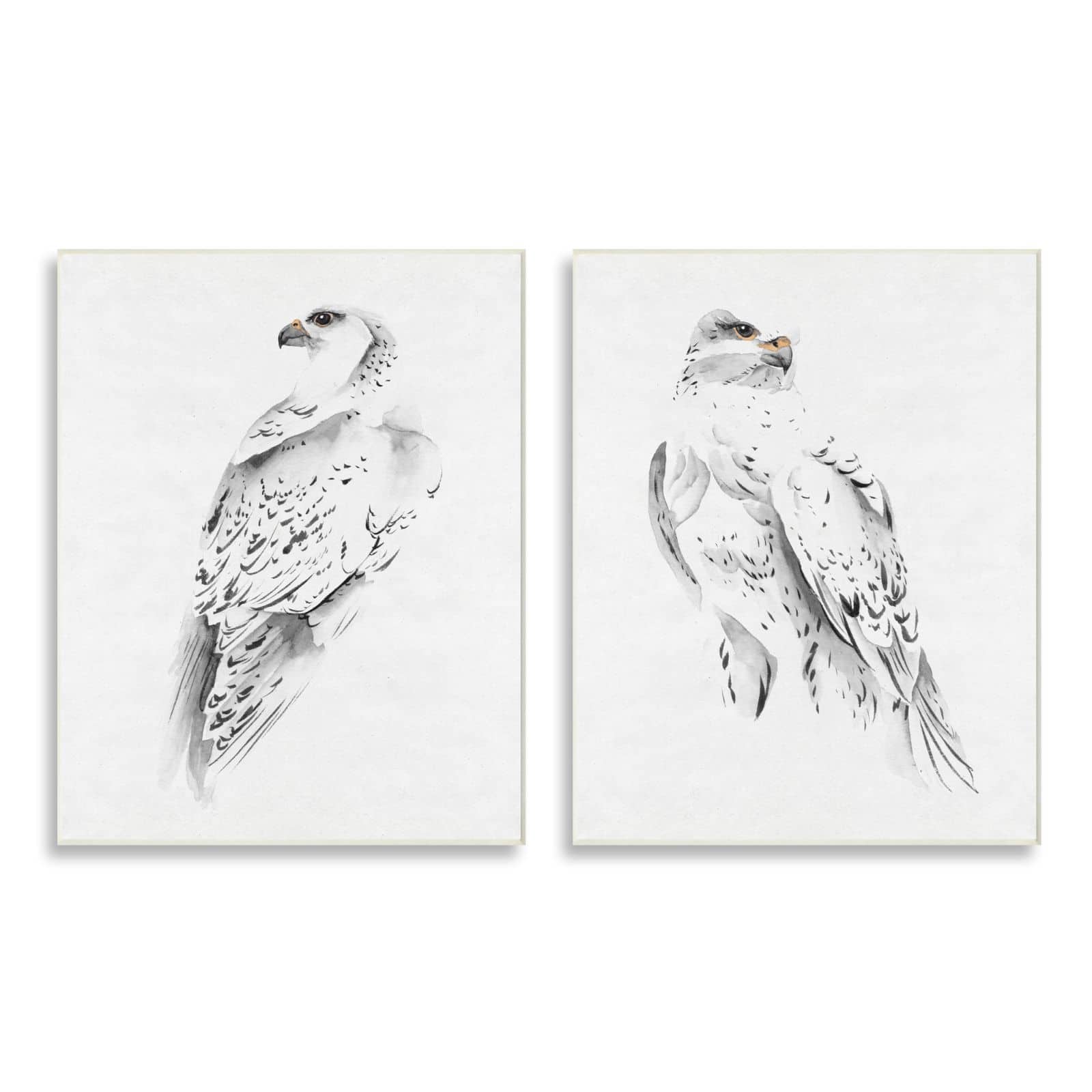 Stupell Industries White Hawk Winter Birds Soft Speckled Feathers Wall Plaque