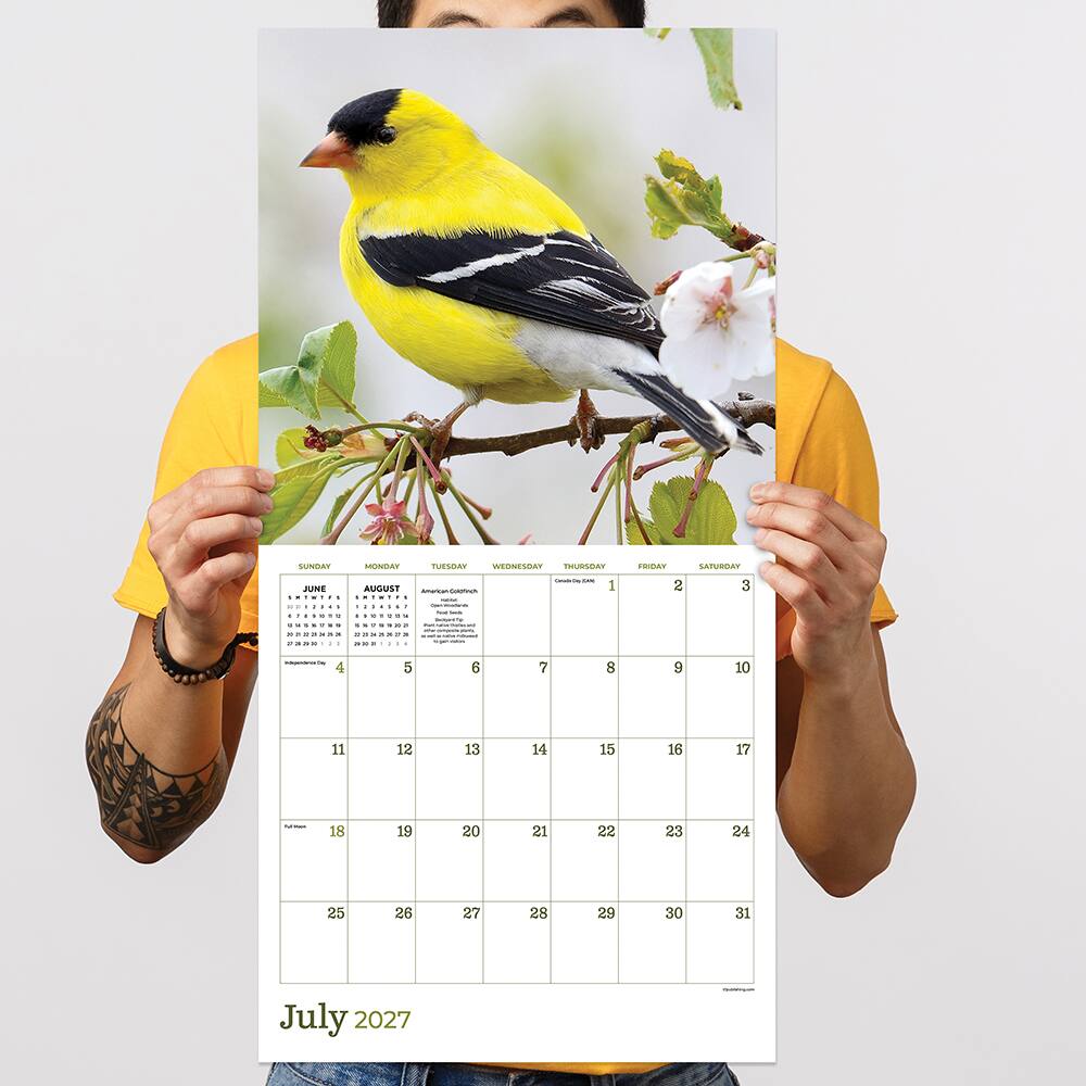2027 Backyard Birds Wall Calendar