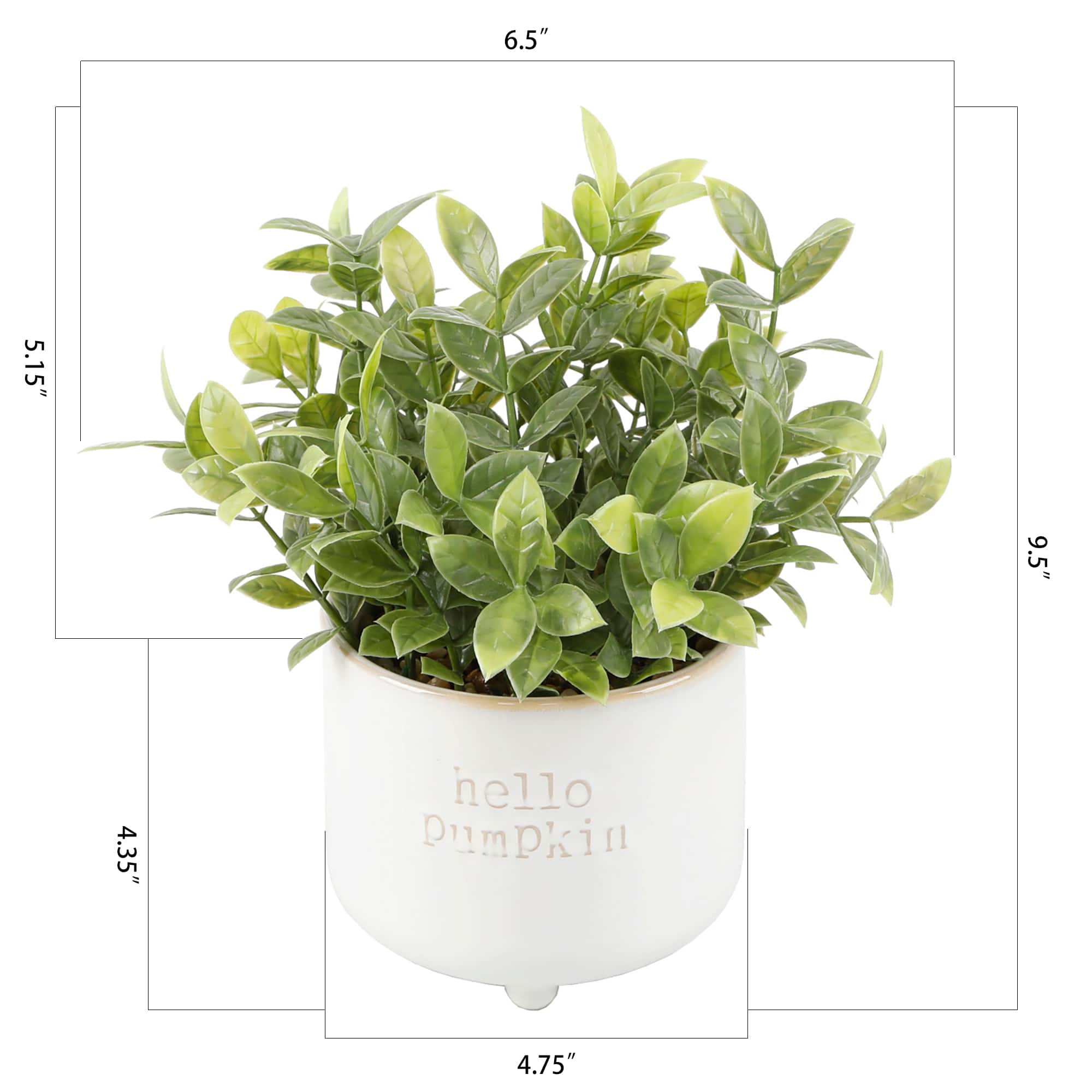 Flora Bunda® Tea Leaf in Hello Pumpkin Ceramic Footed Pot
