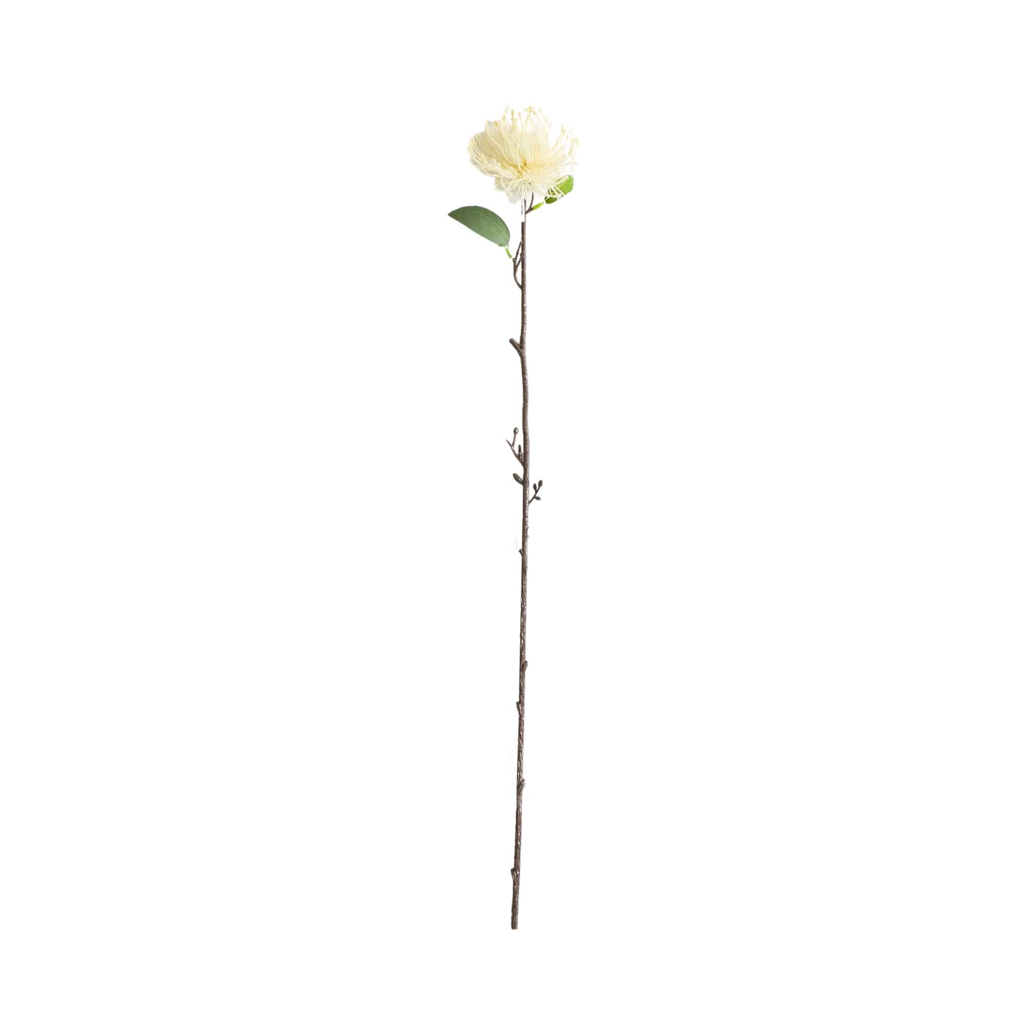 24in. Artificial Pincushion Protea Flower Stem - Set of 4
