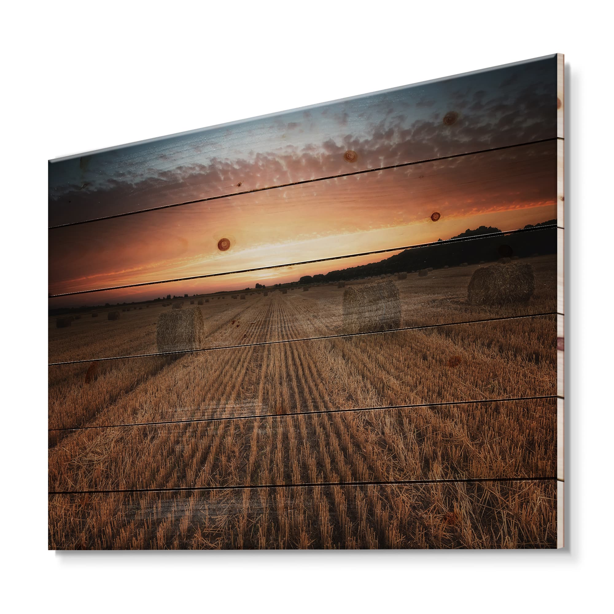 Designart - Landscape With A Field Full of Hay Bales At Sunset