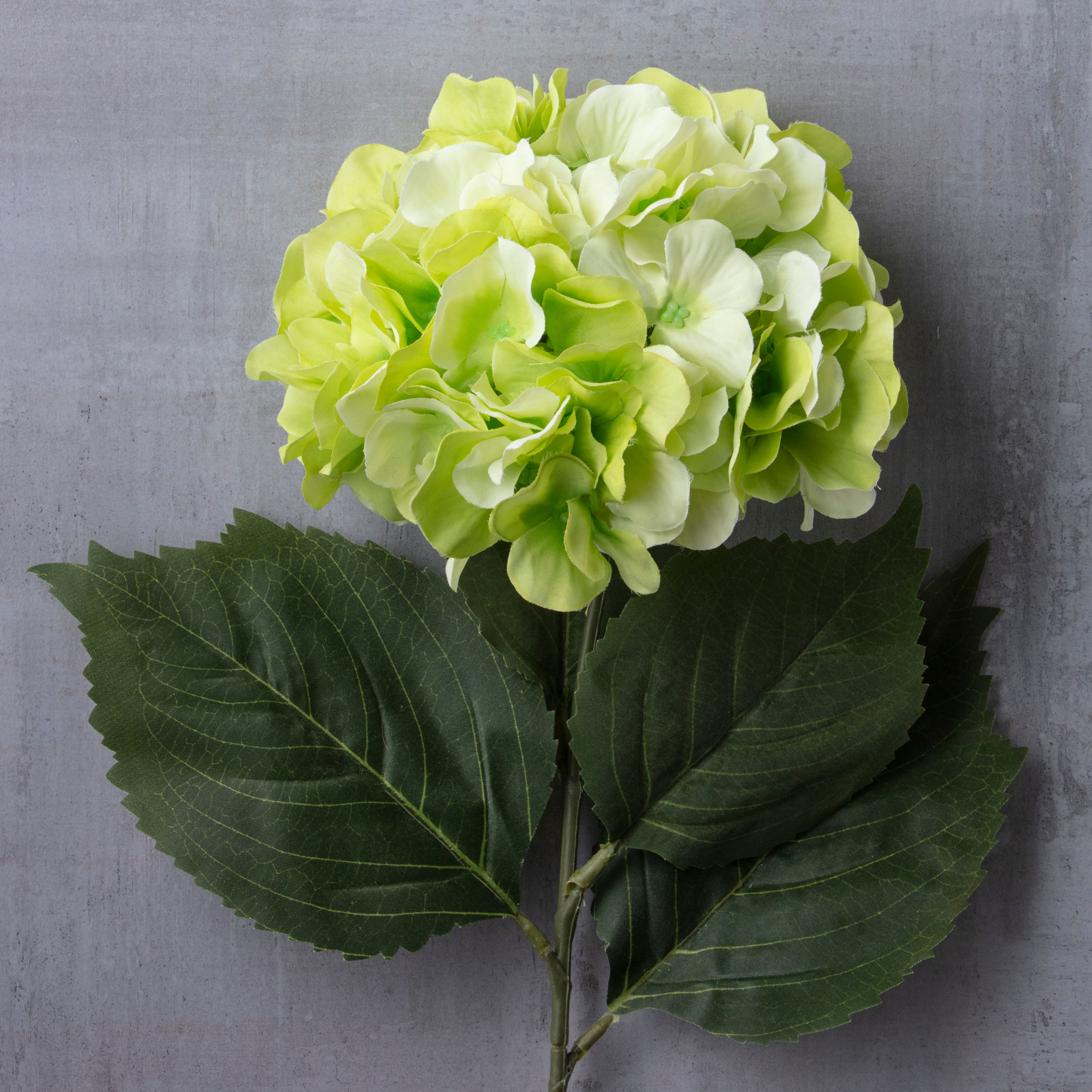 12 Pack: Green Hydrangea Stem by Ashland®