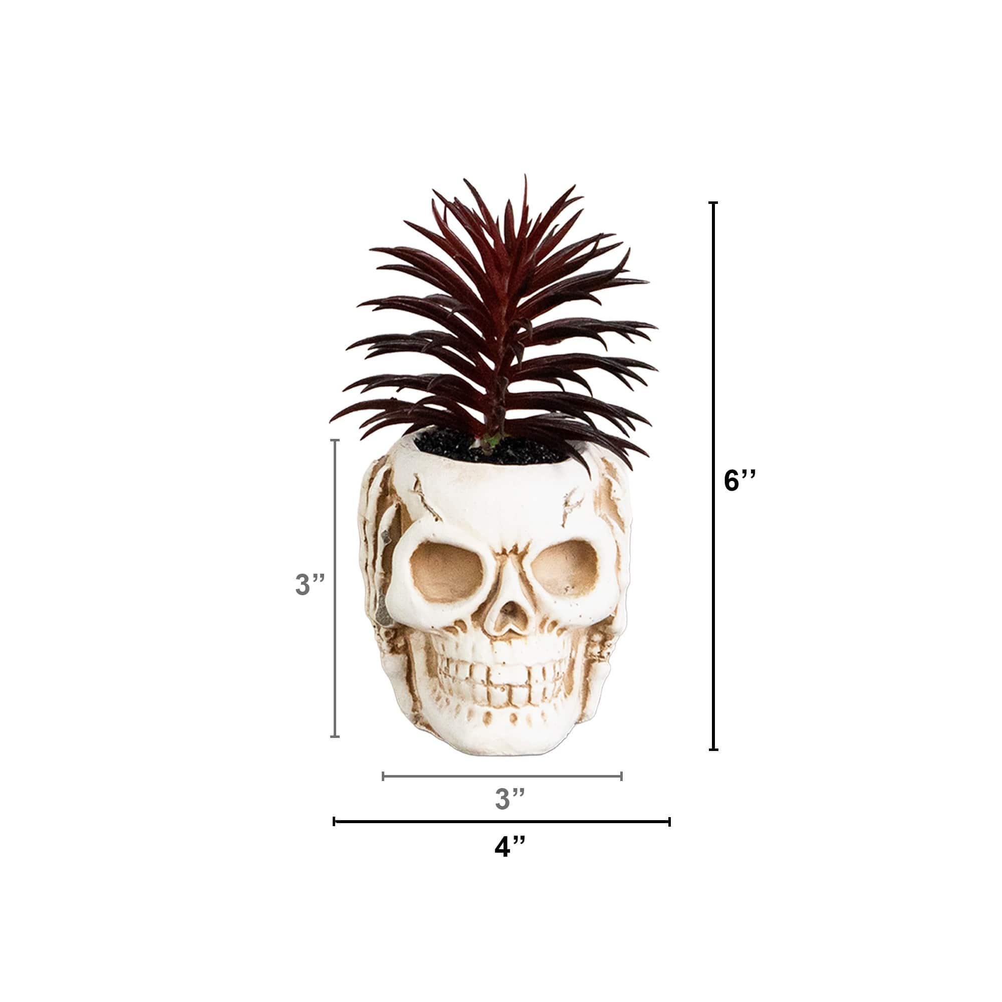 6" Artificial Halloween Speak, Hear, See No Evil Succulent Plant Skull Décor Set