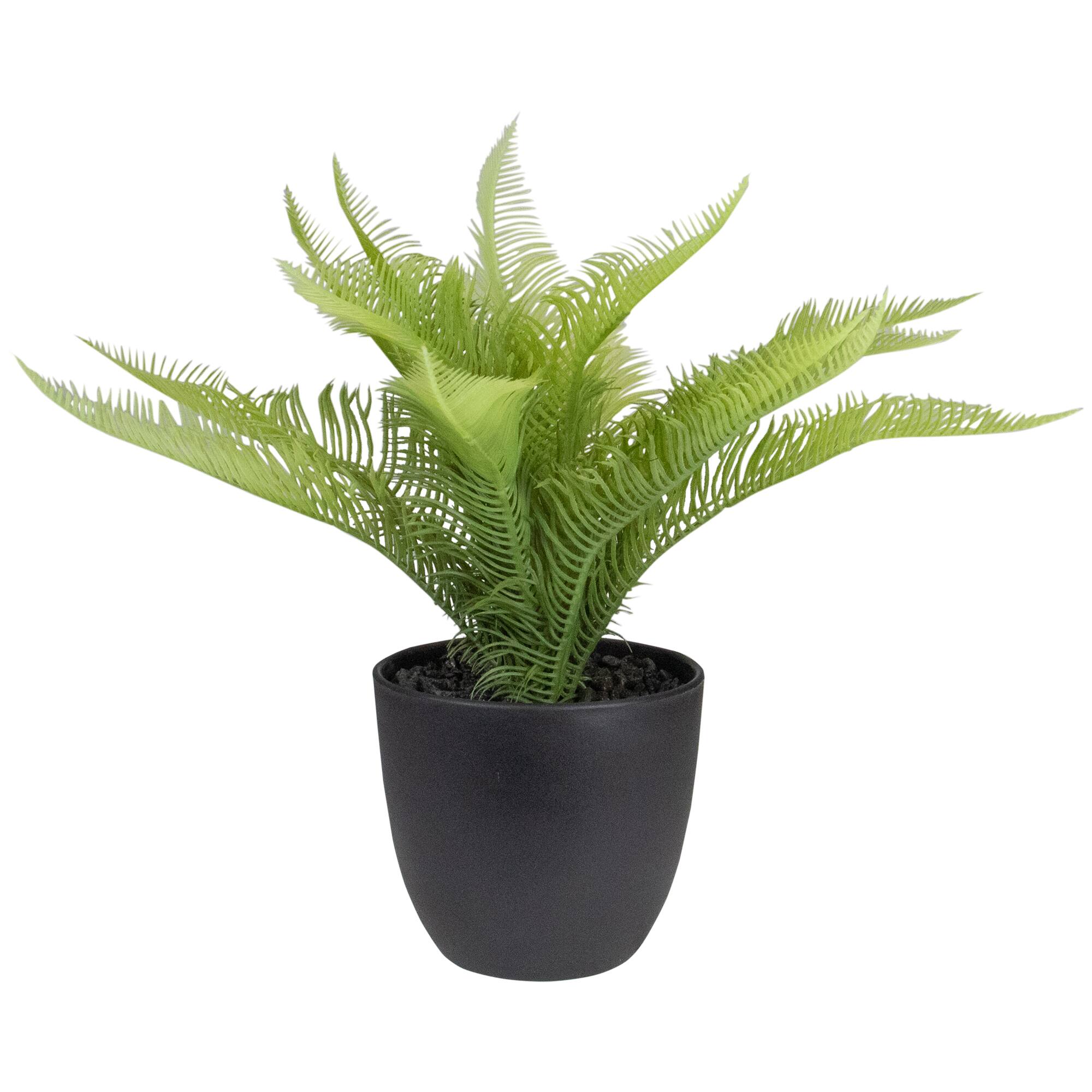 12" Potted Green Pinus Plant By Northlight | Michaels®