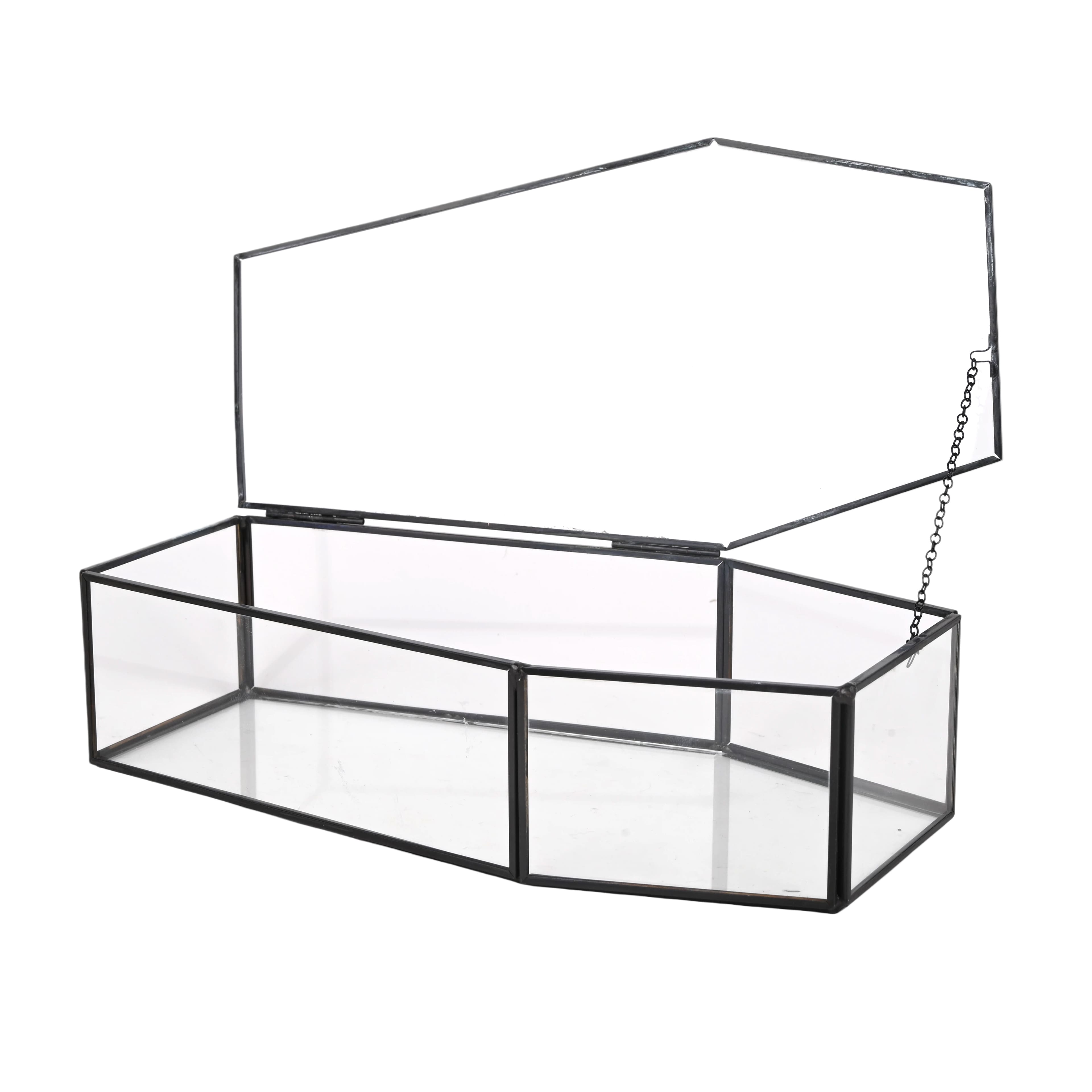 Clear Glass Terrarium Coffin with Lid by Ashland