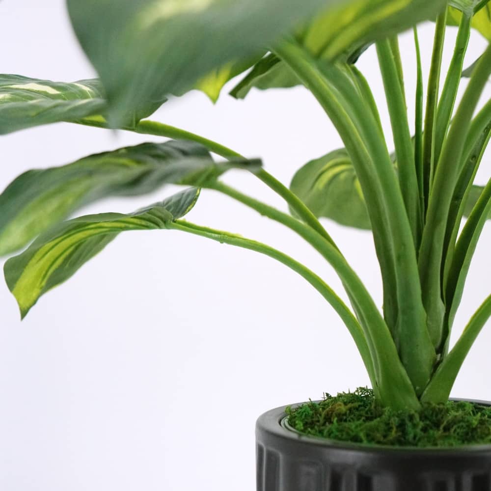 House of Silk Flowers 24" Small Faux Hosta in Classic Matte Black Ceramic Planter