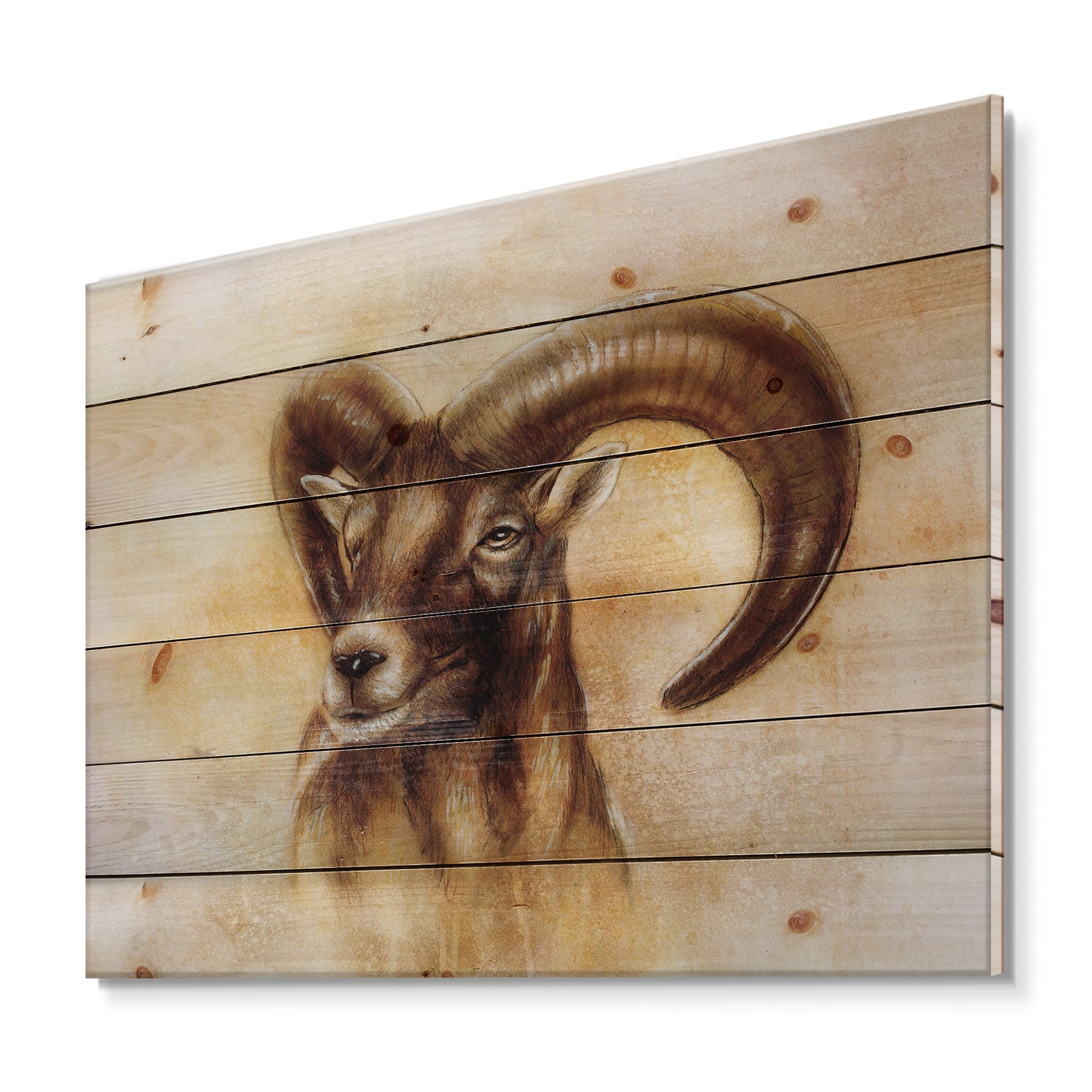 Designart - Portrait of Wild Ram With Mighty Horns I - Modern Print on Natural Pine Wood