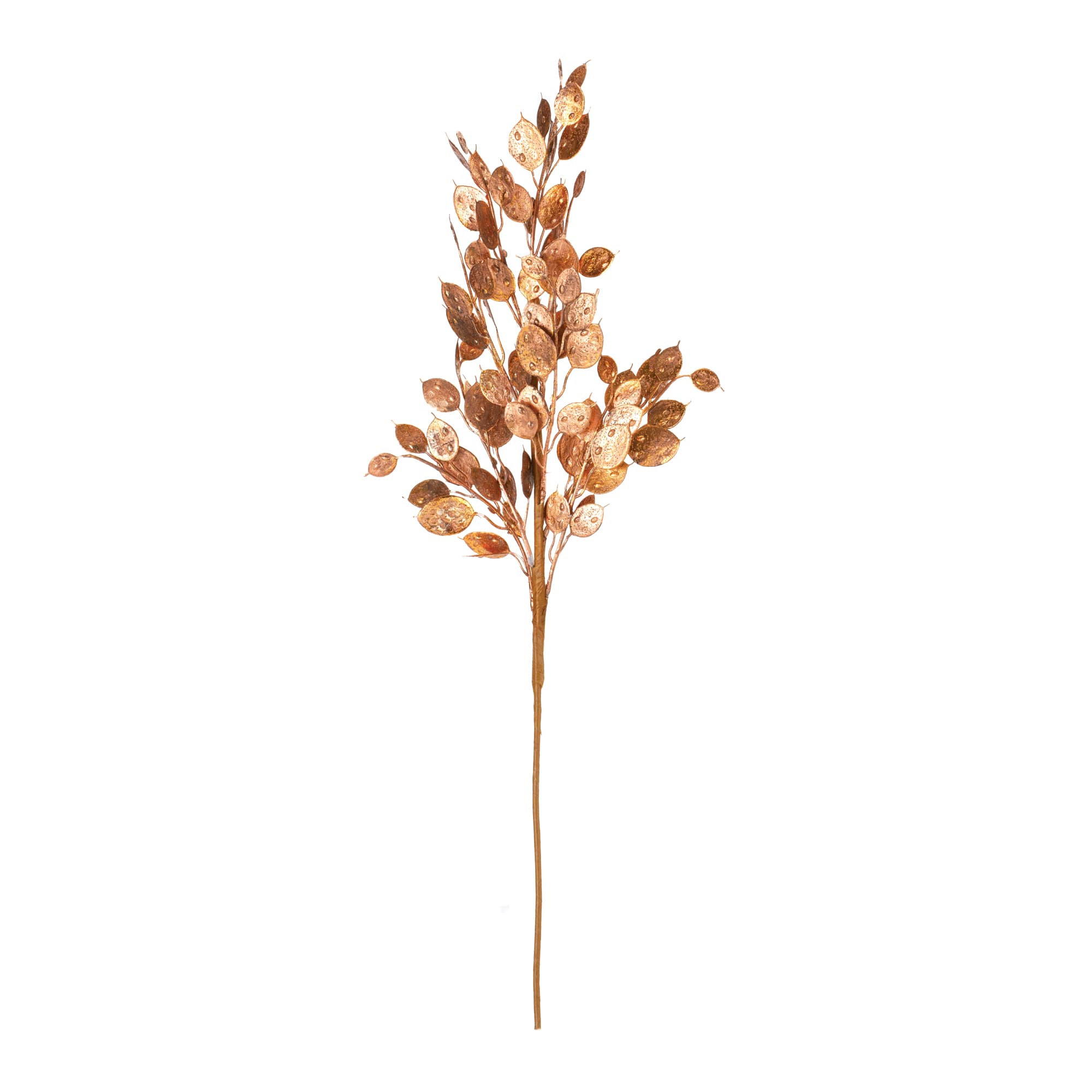 26" Copper Silver Dollar Bush, 6ct.