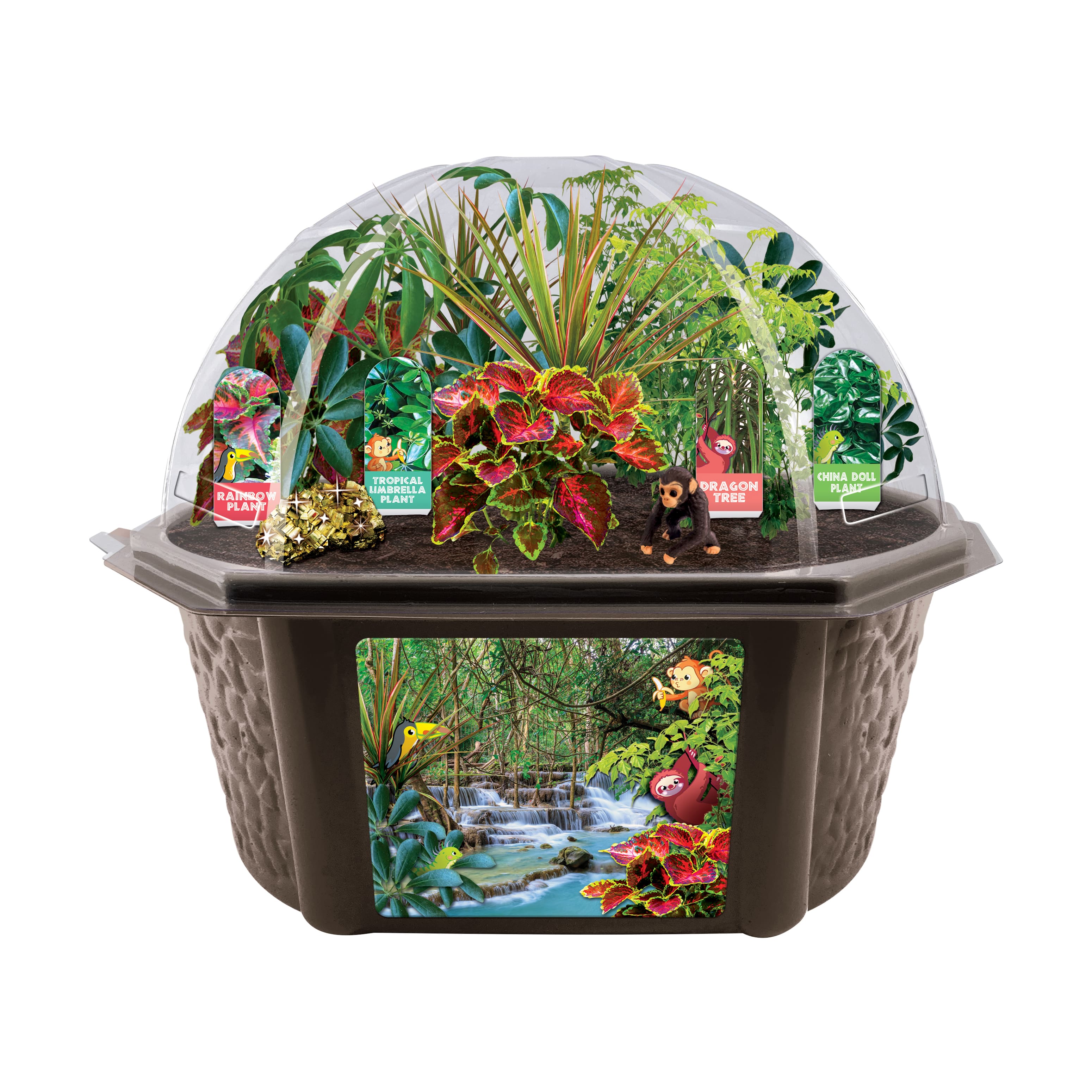 Biosphere Terrarium - Tropical Rainforest Jungle
