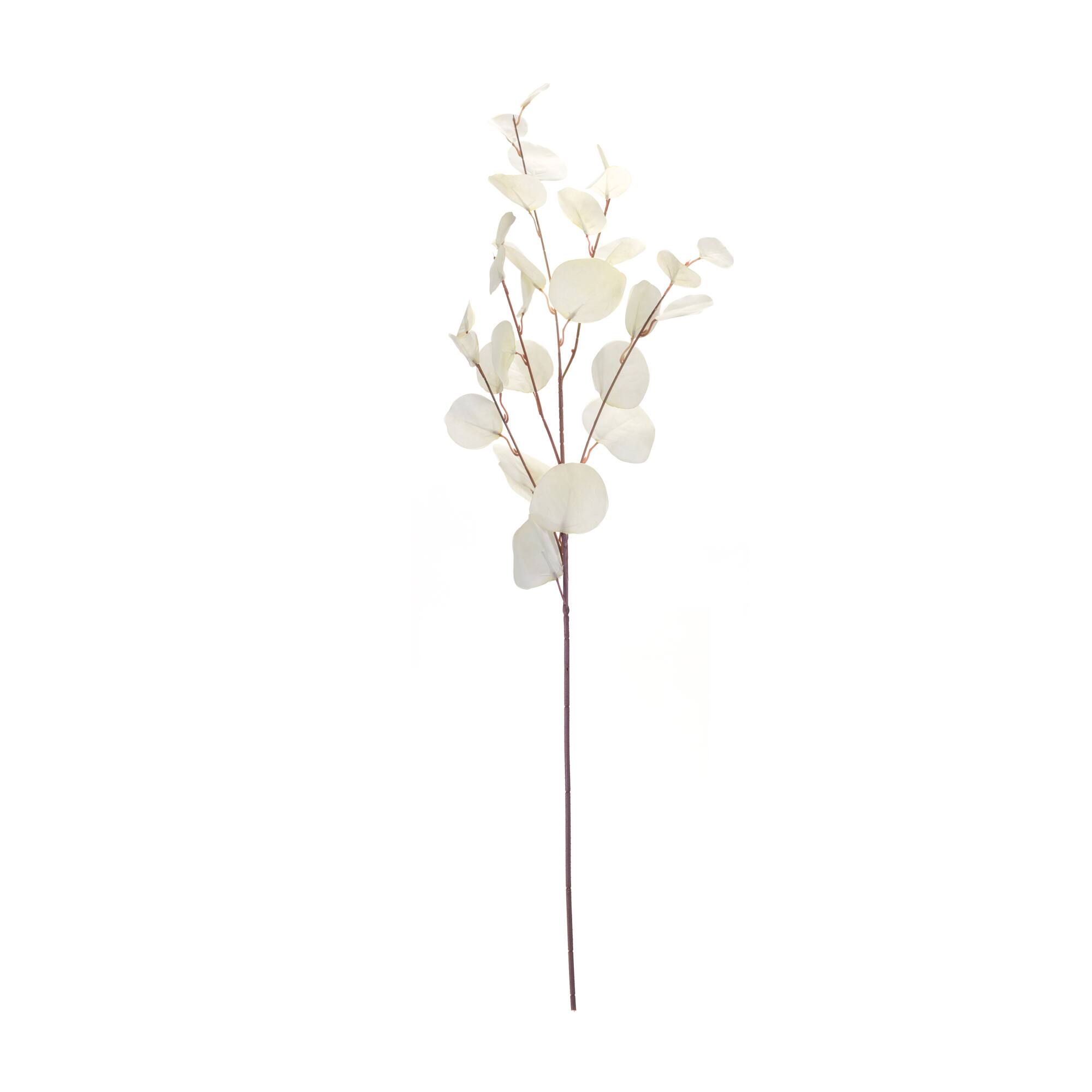 Ivory Eucalyptus Spray, 6ct.
